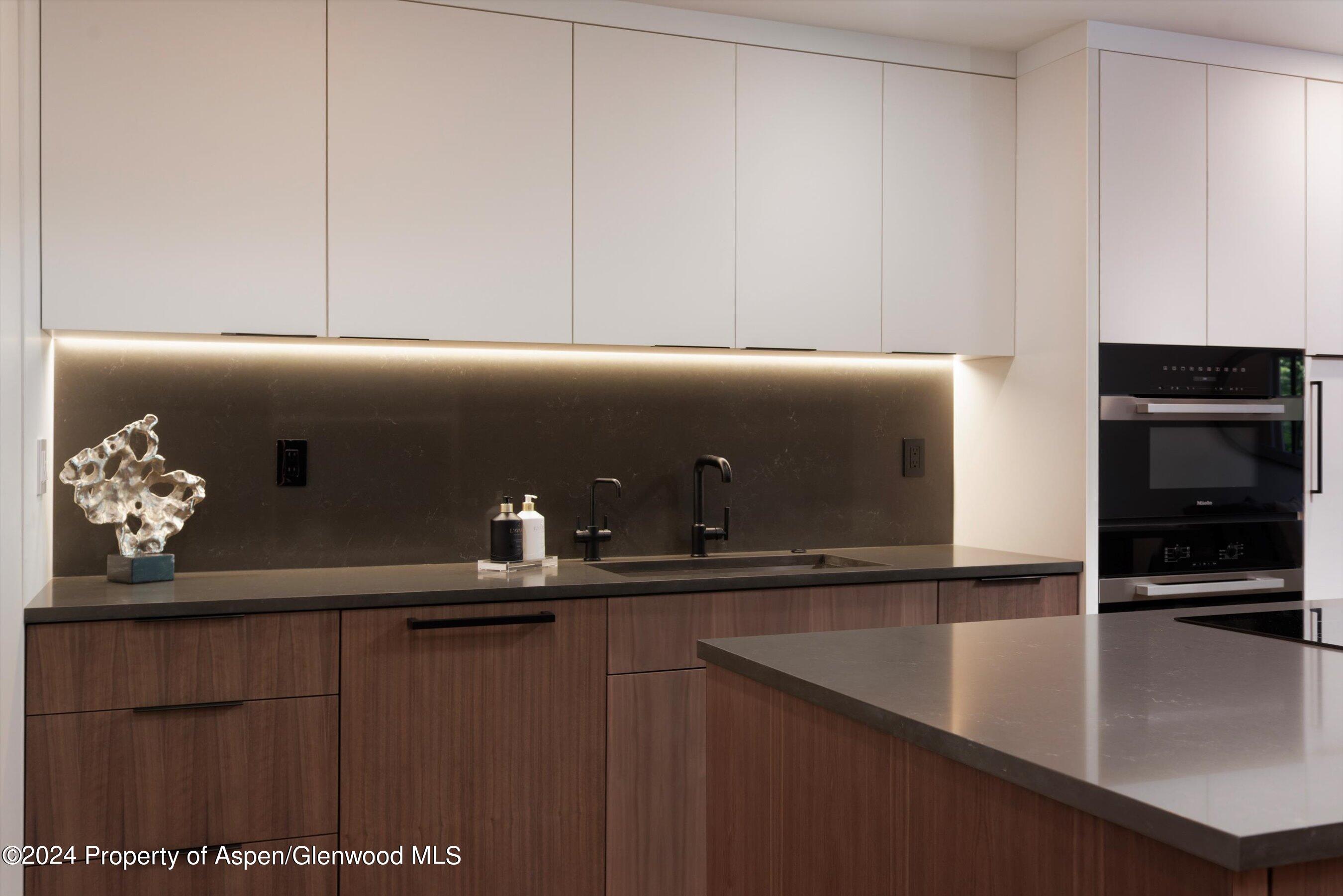 205 E Durant Avenue Aspen CO 81611