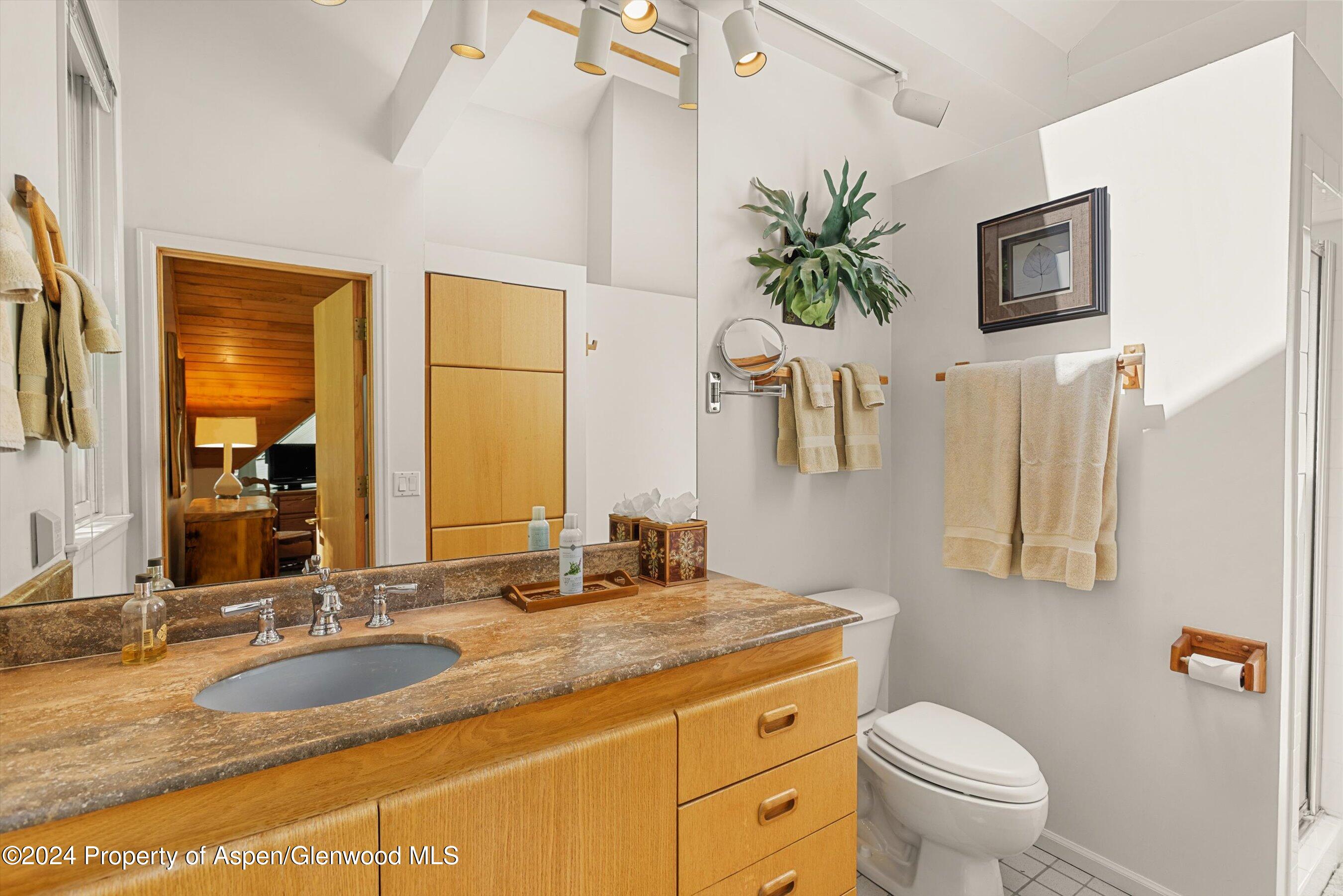 1500 Ute Avenue Aspen CO 81611