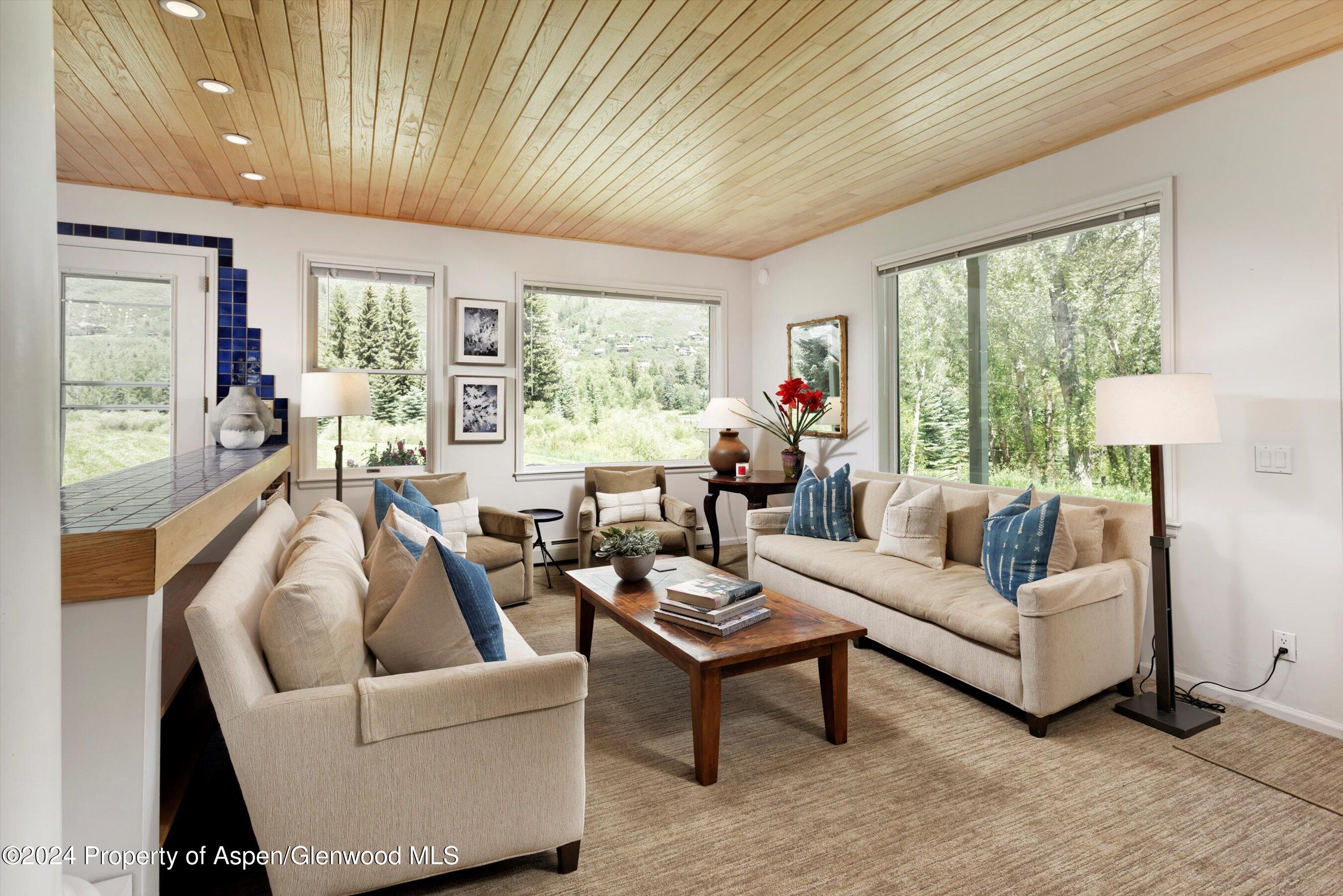 1500 Ute Avenue Aspen CO 81611