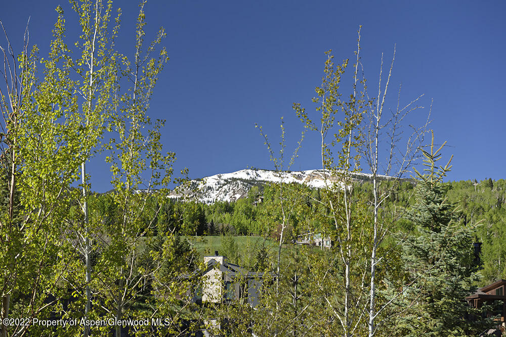 27 Turkey Trot Court Snowmass Village CO 81615