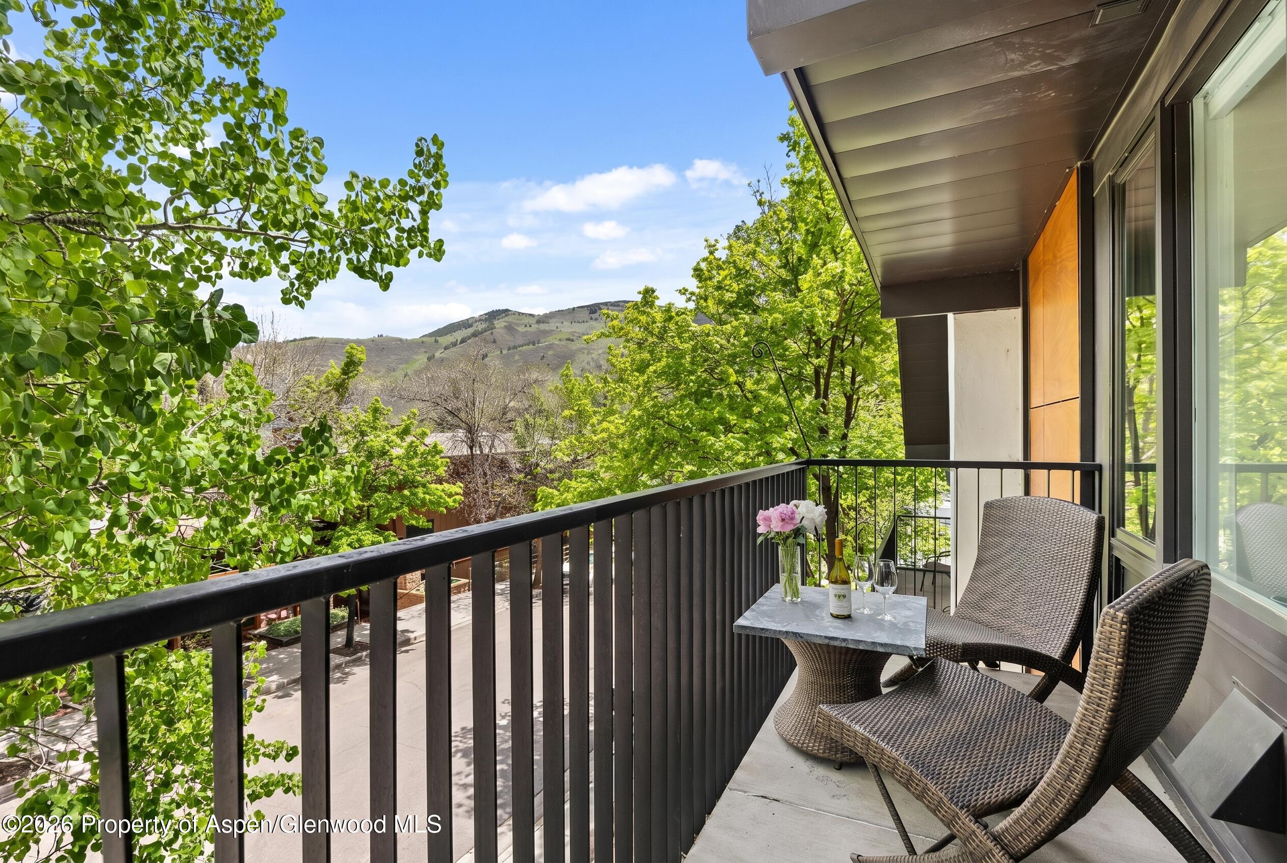 800 S Mill Street Aspen CO 81611