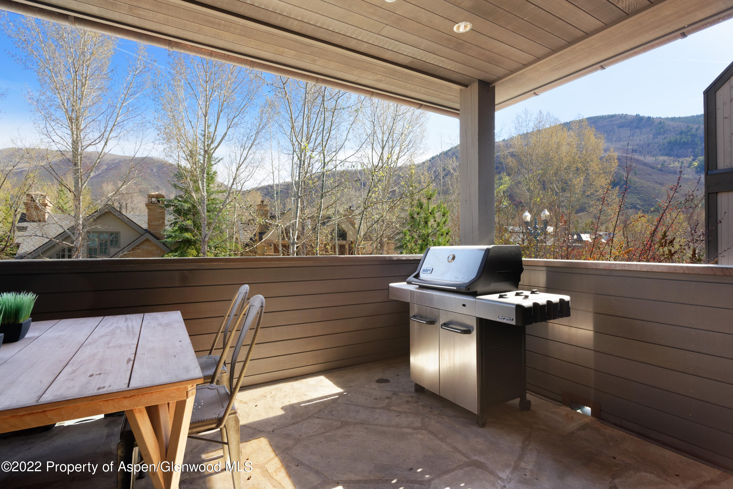 410 S West End Street Aspen CO 81611