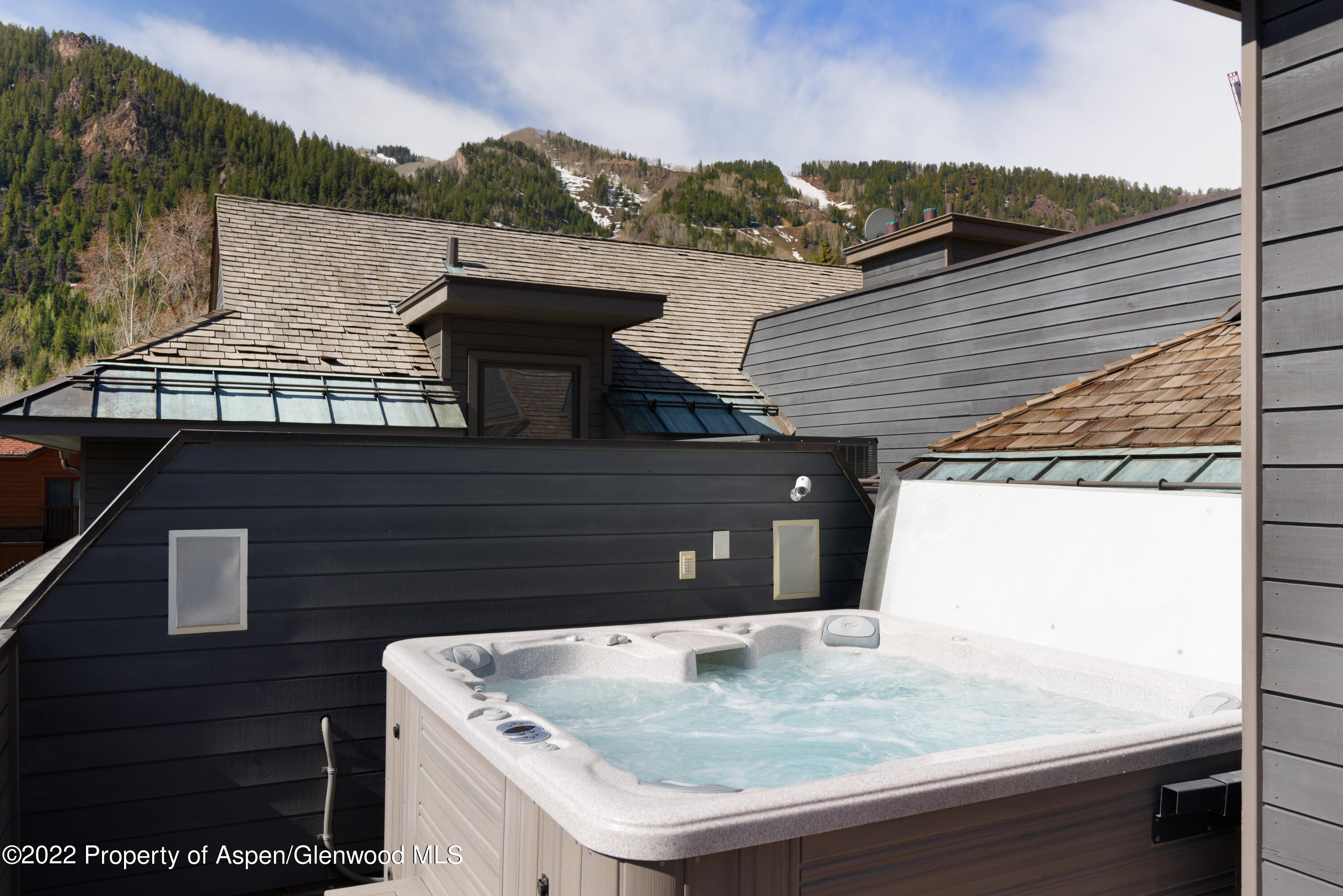 410 S West End Street Aspen CO 81611