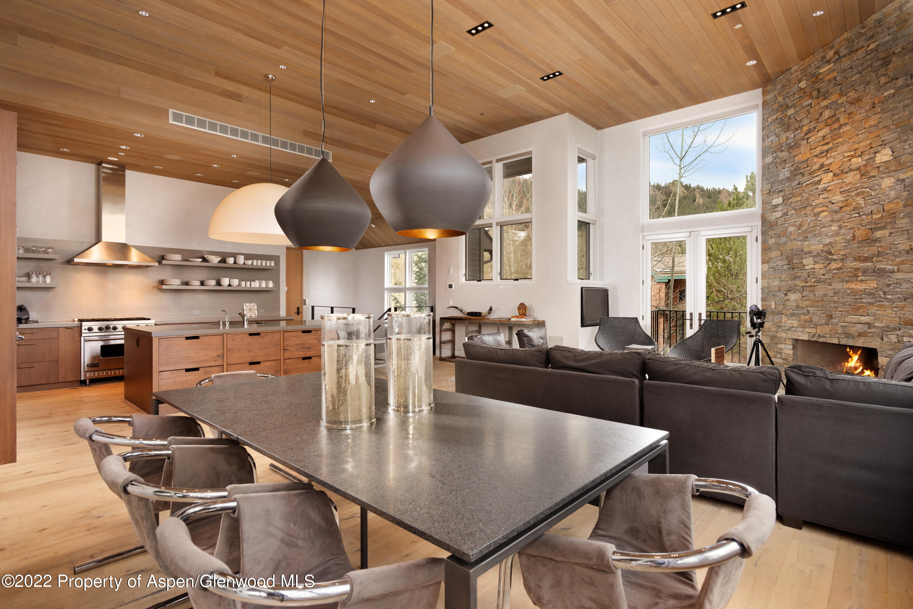 410 S West End Street Aspen CO 81611