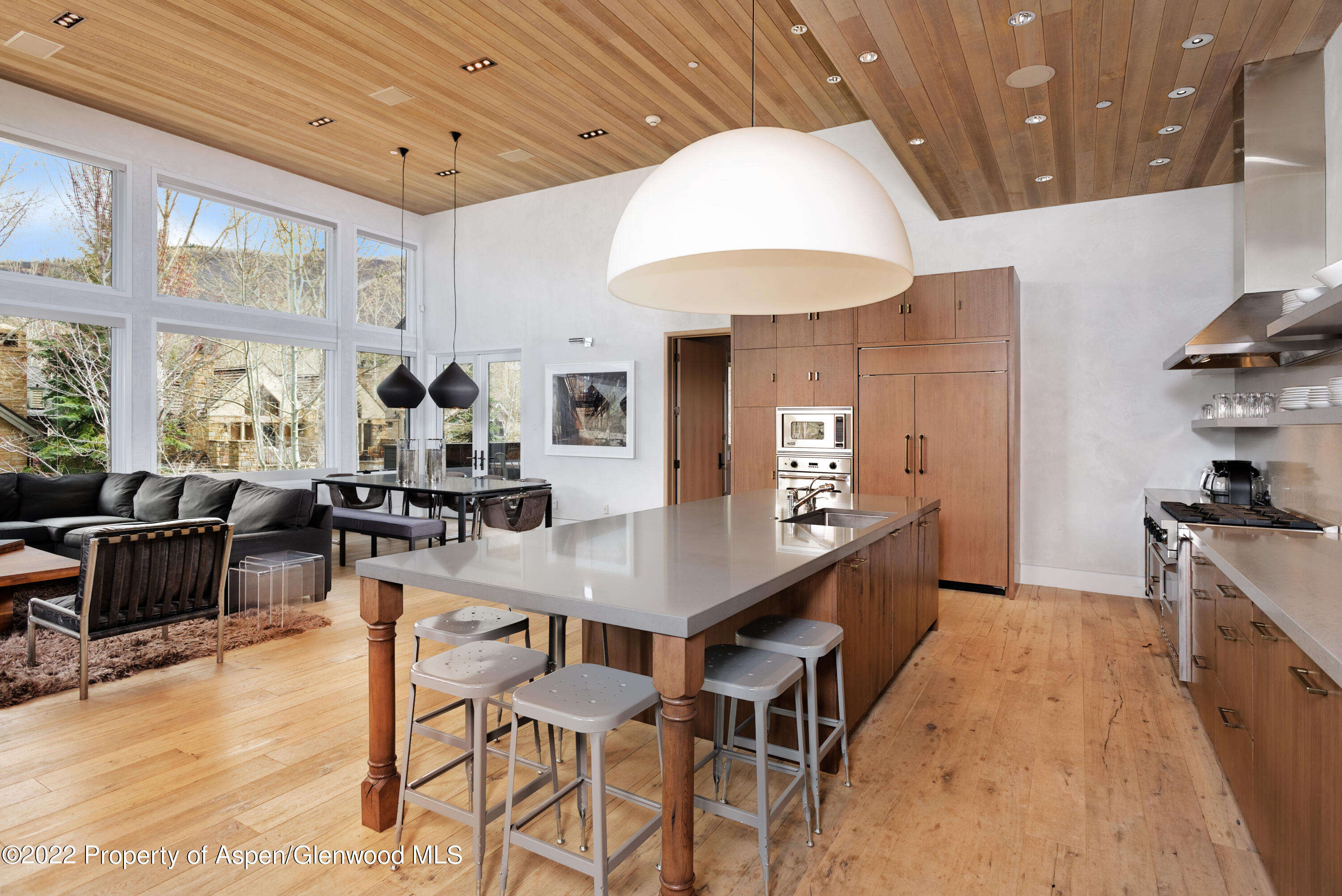 410 S West End Street Aspen CO 81611