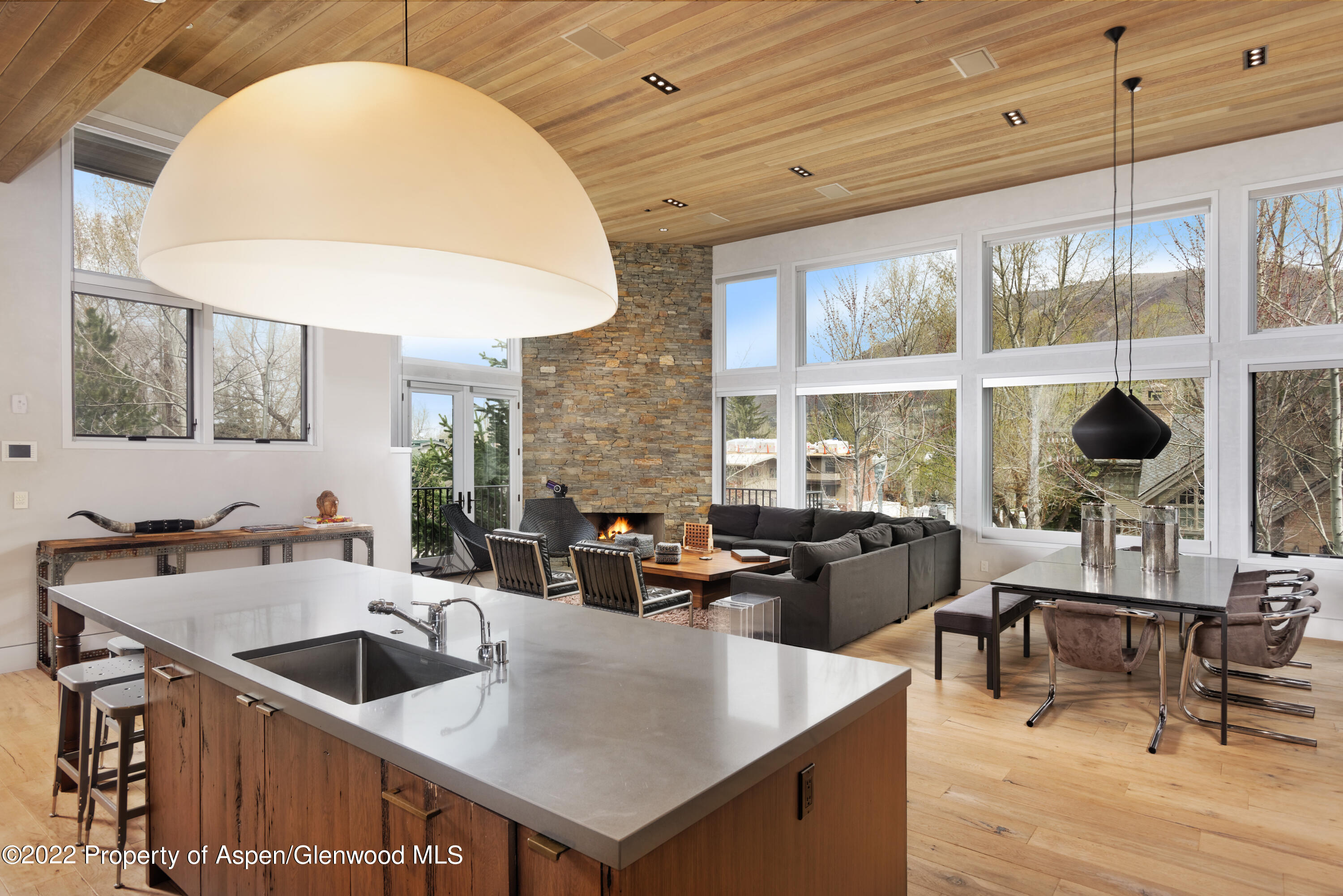 410 S West End Street Aspen CO 81611