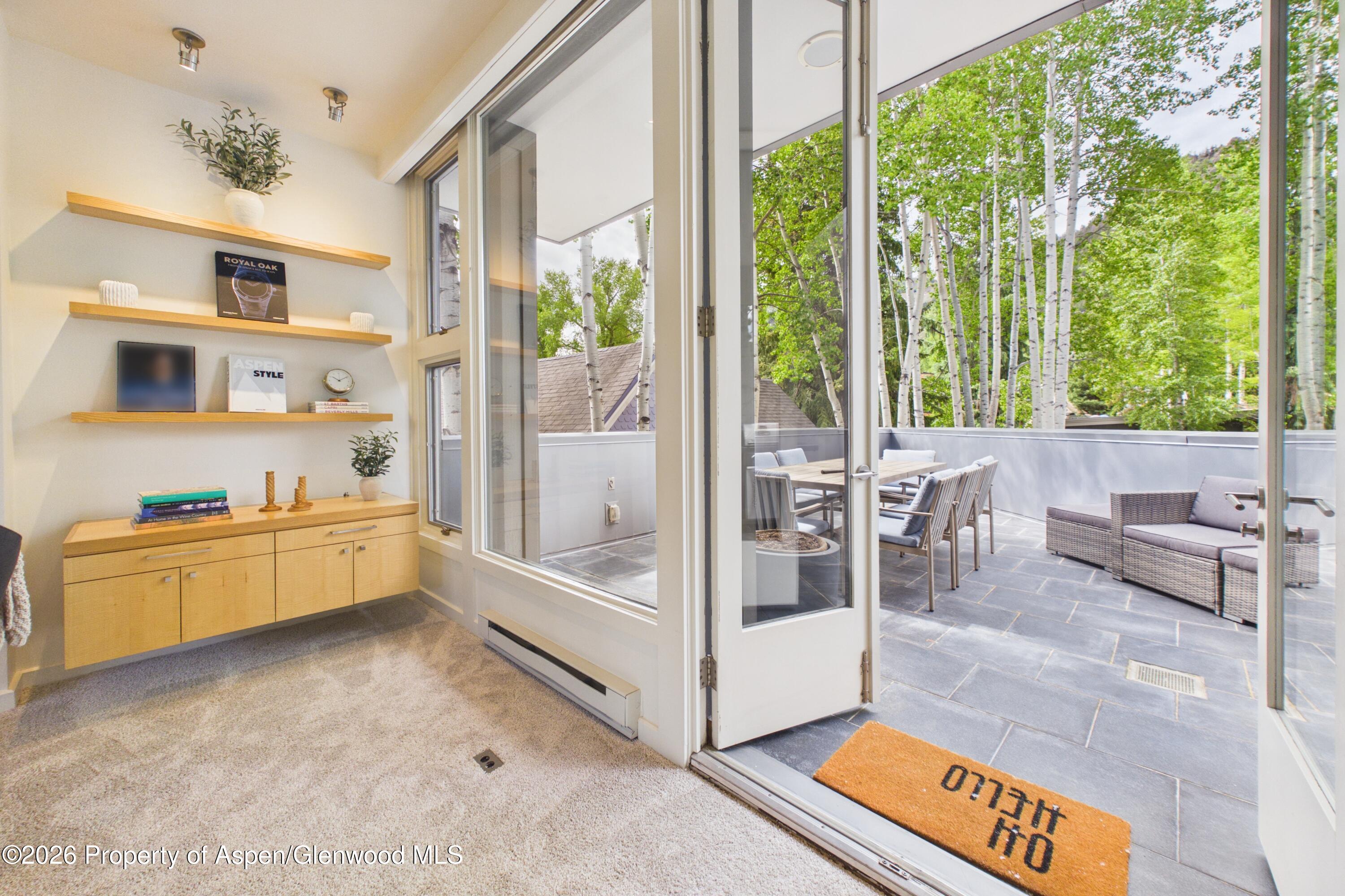 506 W Hallam Street Aspen CO 81611