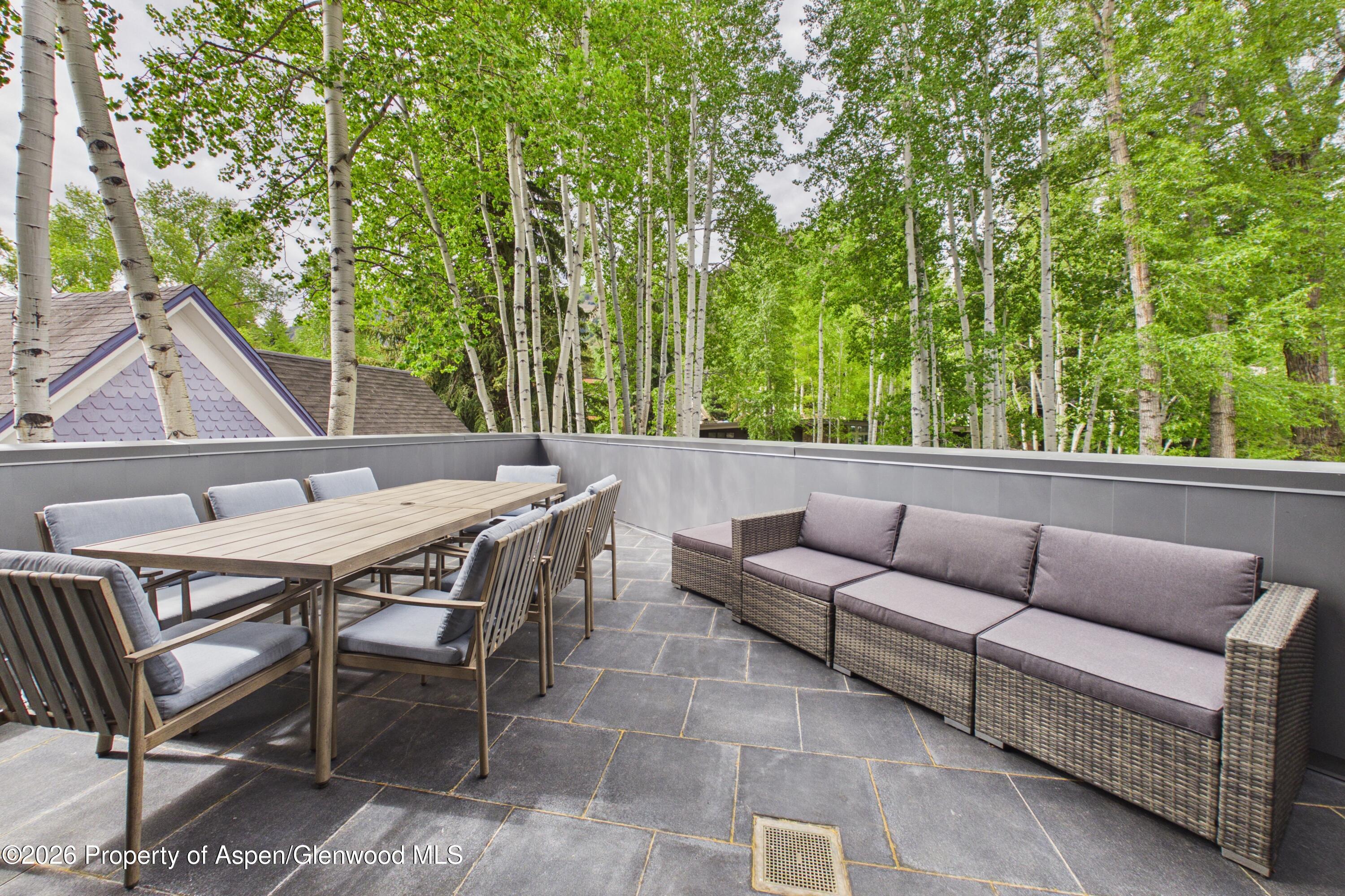 506 W Hallam Street Aspen CO 81611