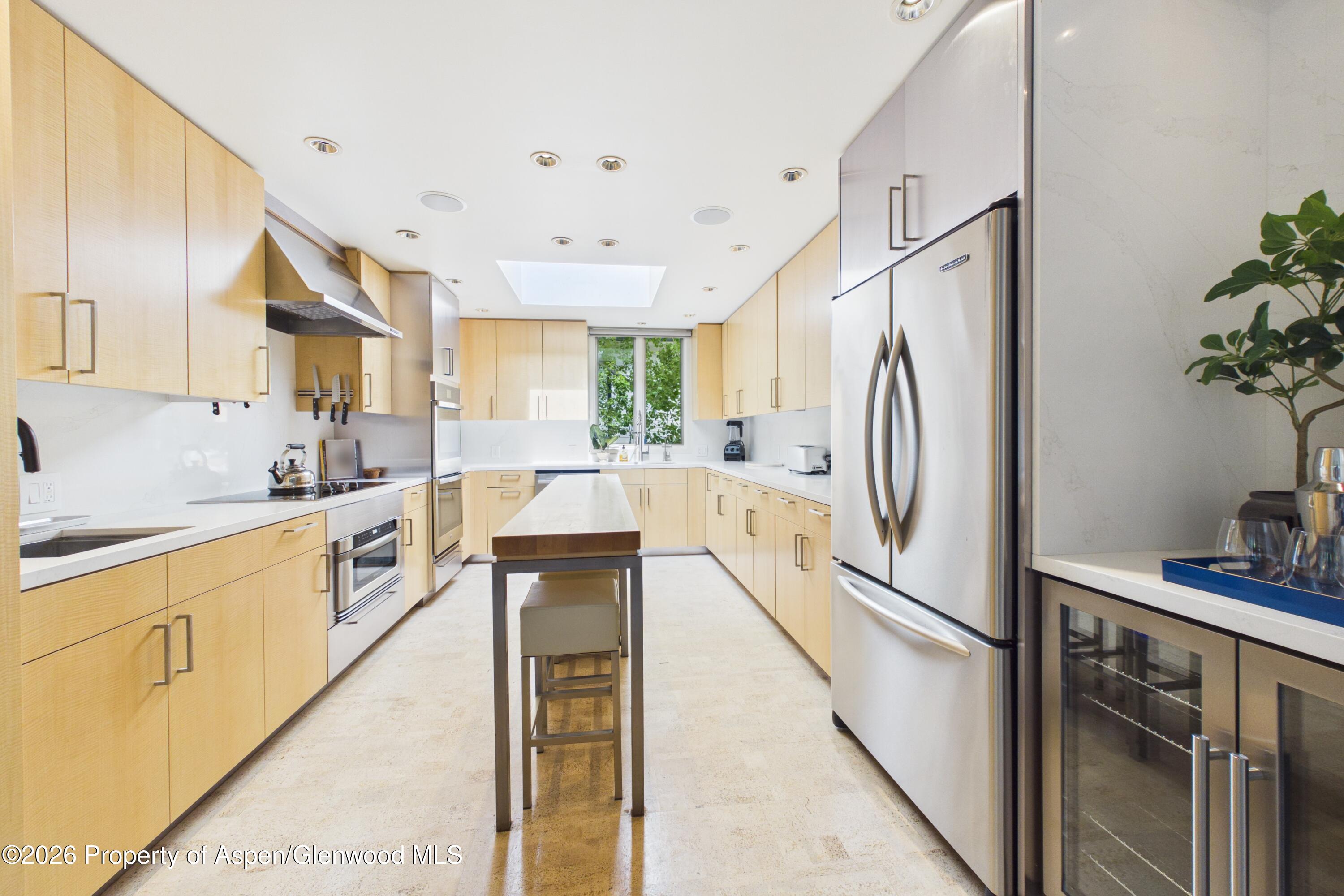506 W Hallam Street Aspen CO 81611