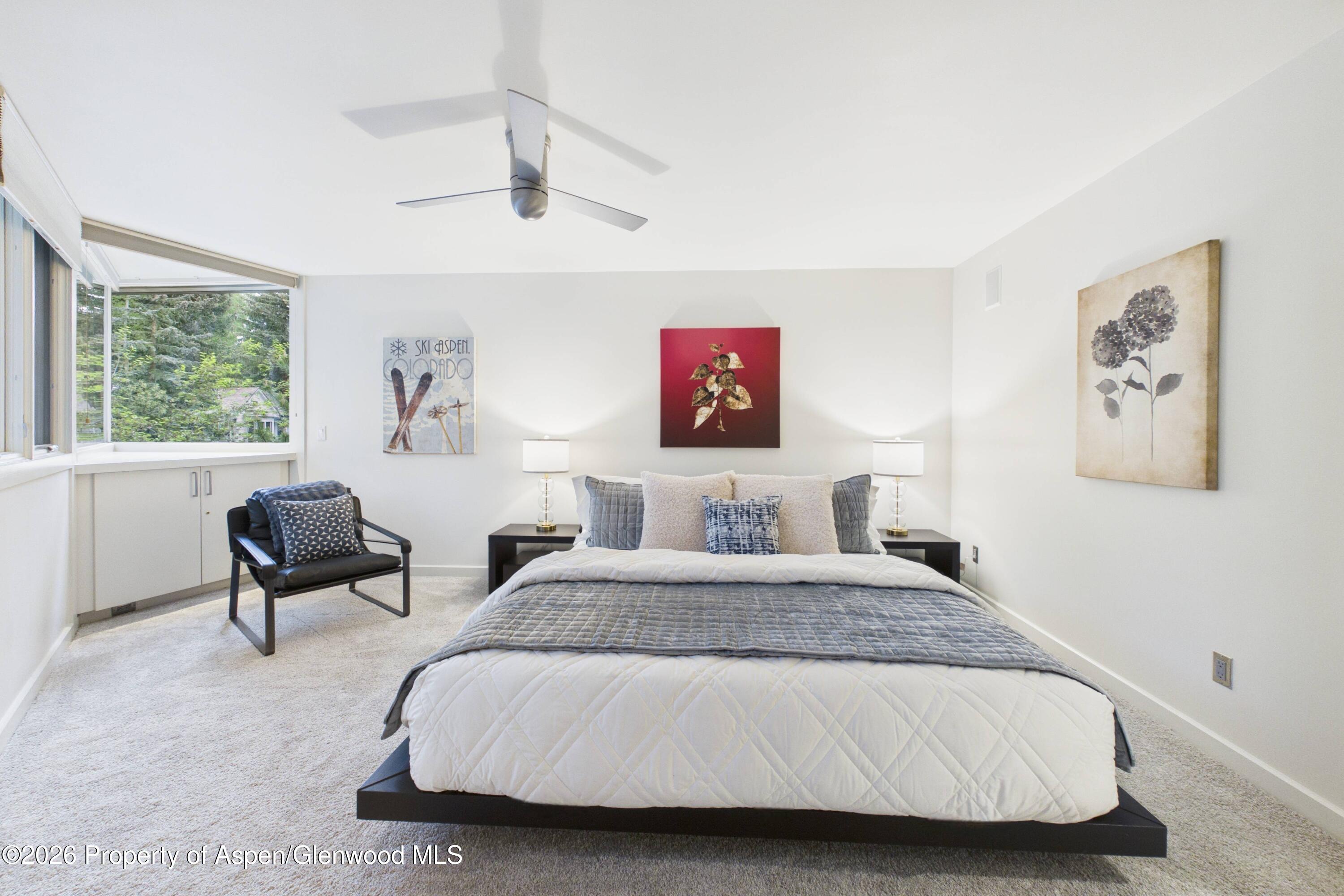 506 W Hallam Street Aspen CO 81611