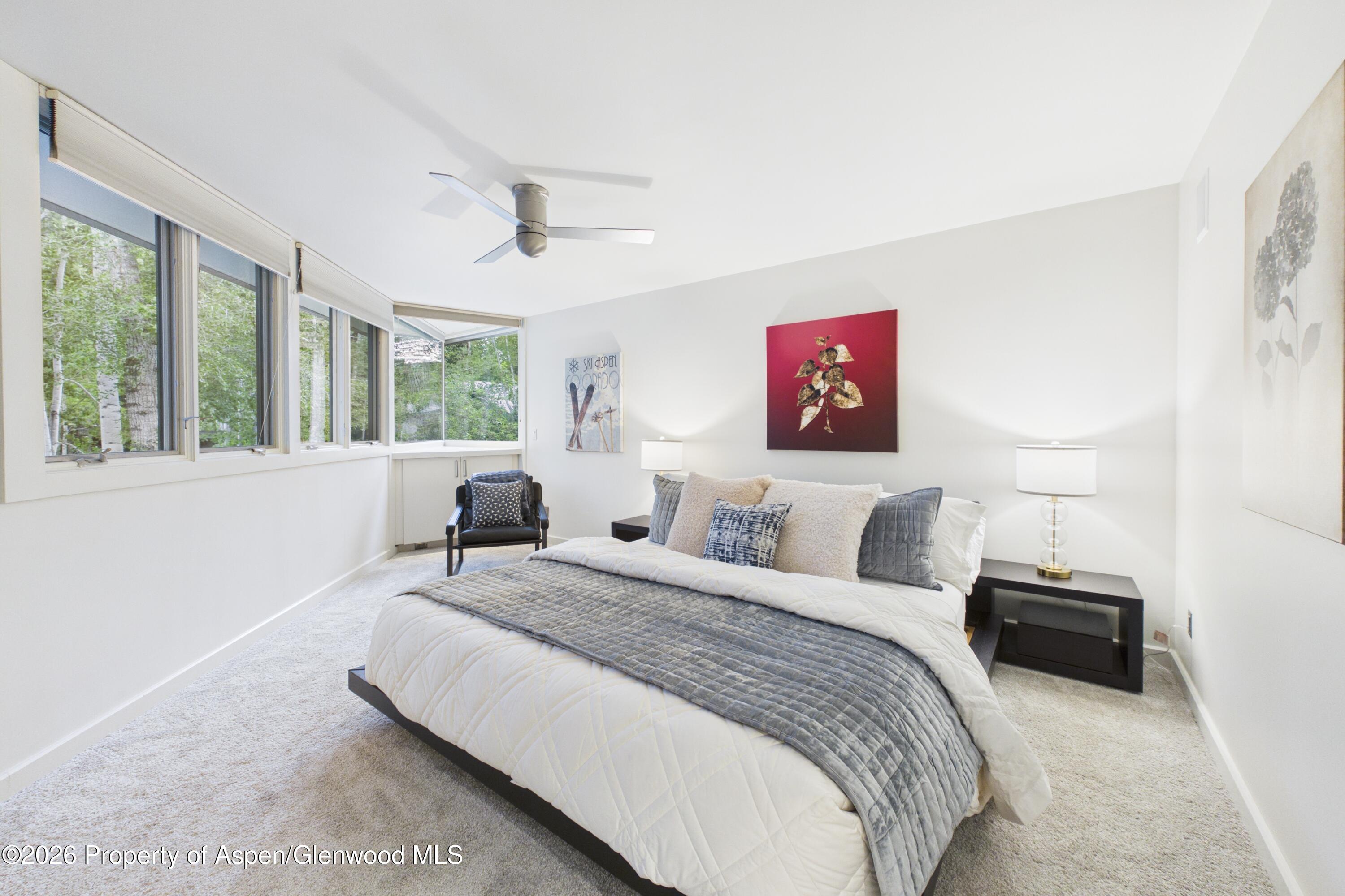 506 W Hallam Street Aspen CO 81611