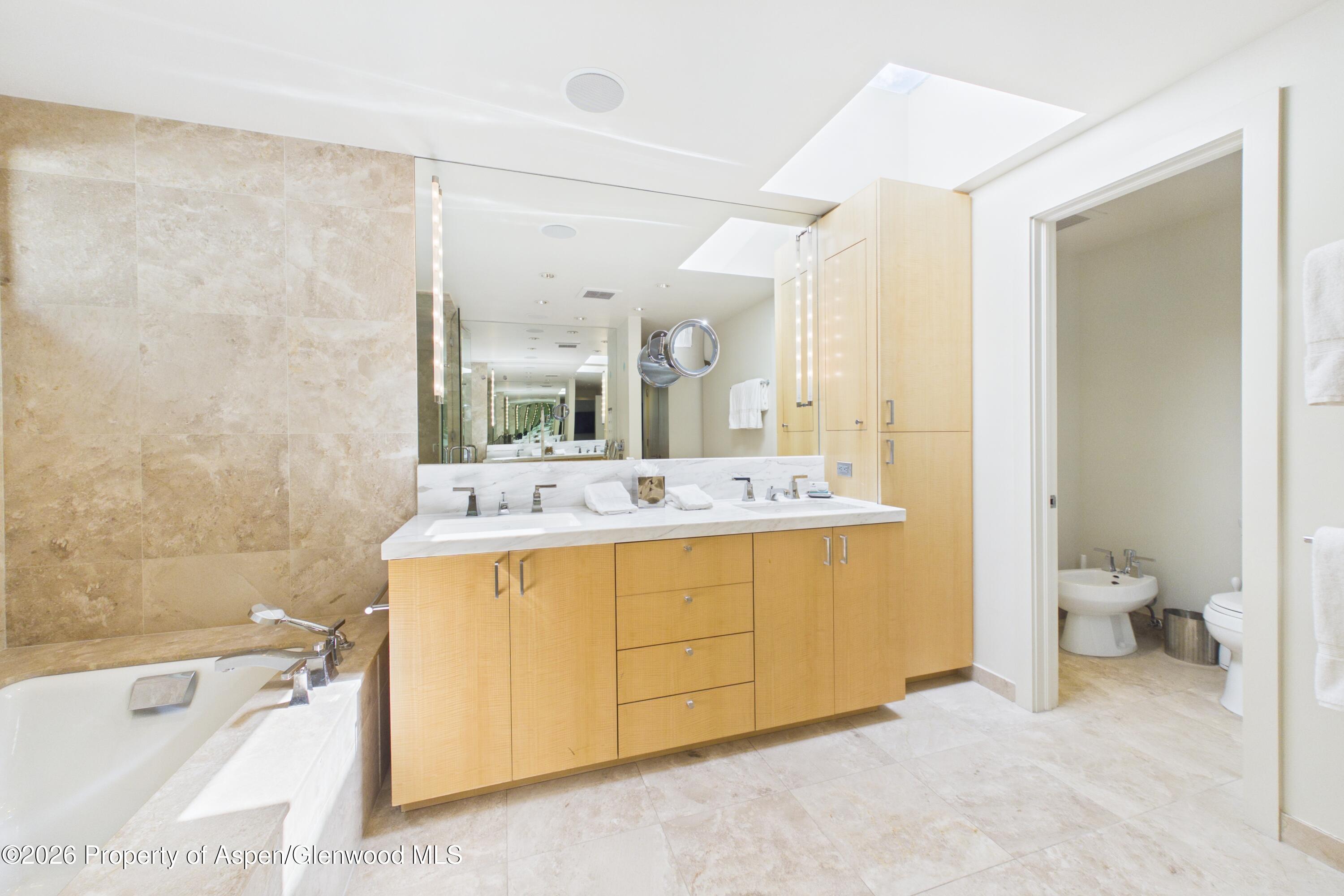 506 W Hallam Street Aspen CO 81611