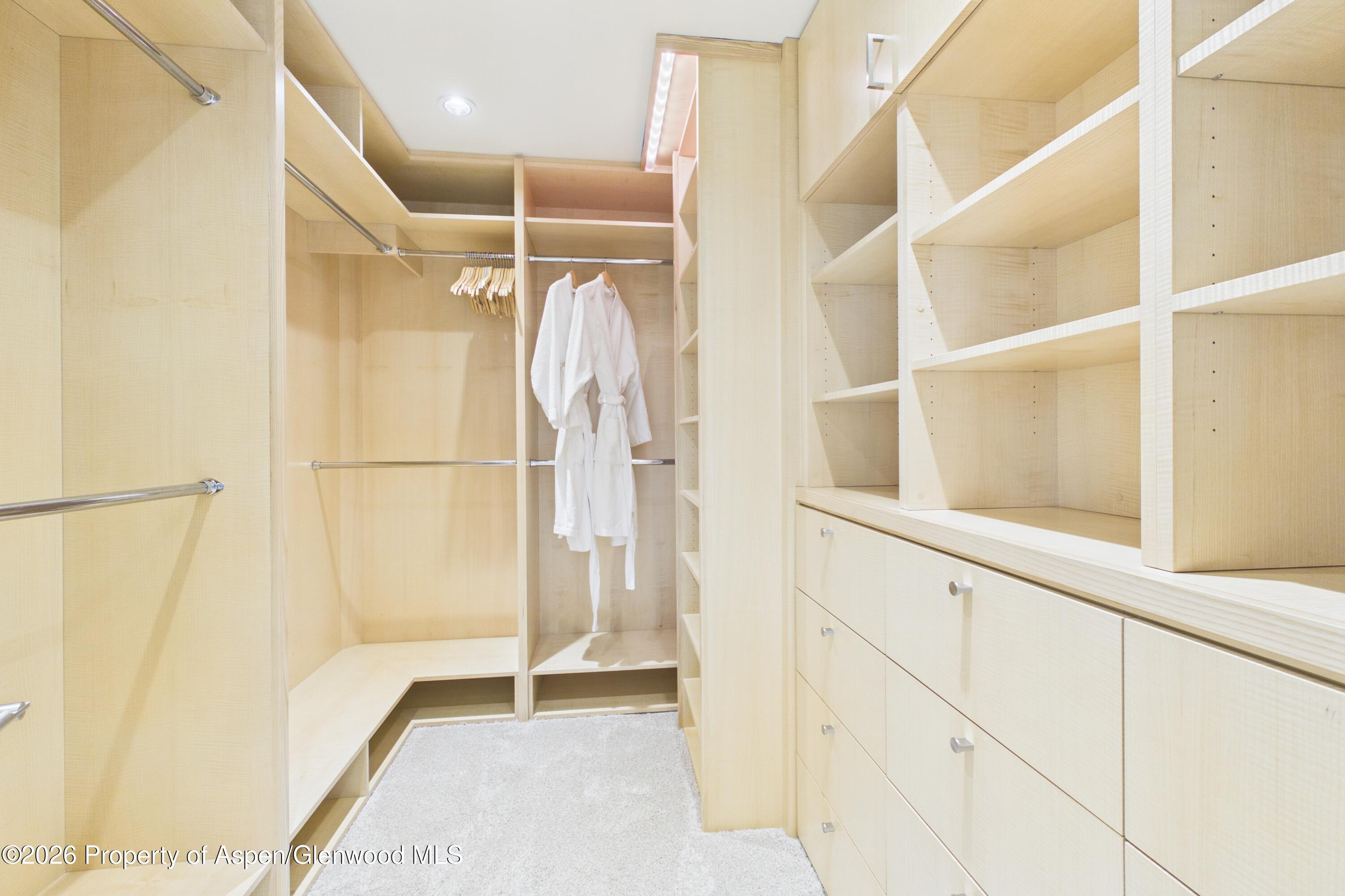 506 W Hallam Street Aspen CO 81611