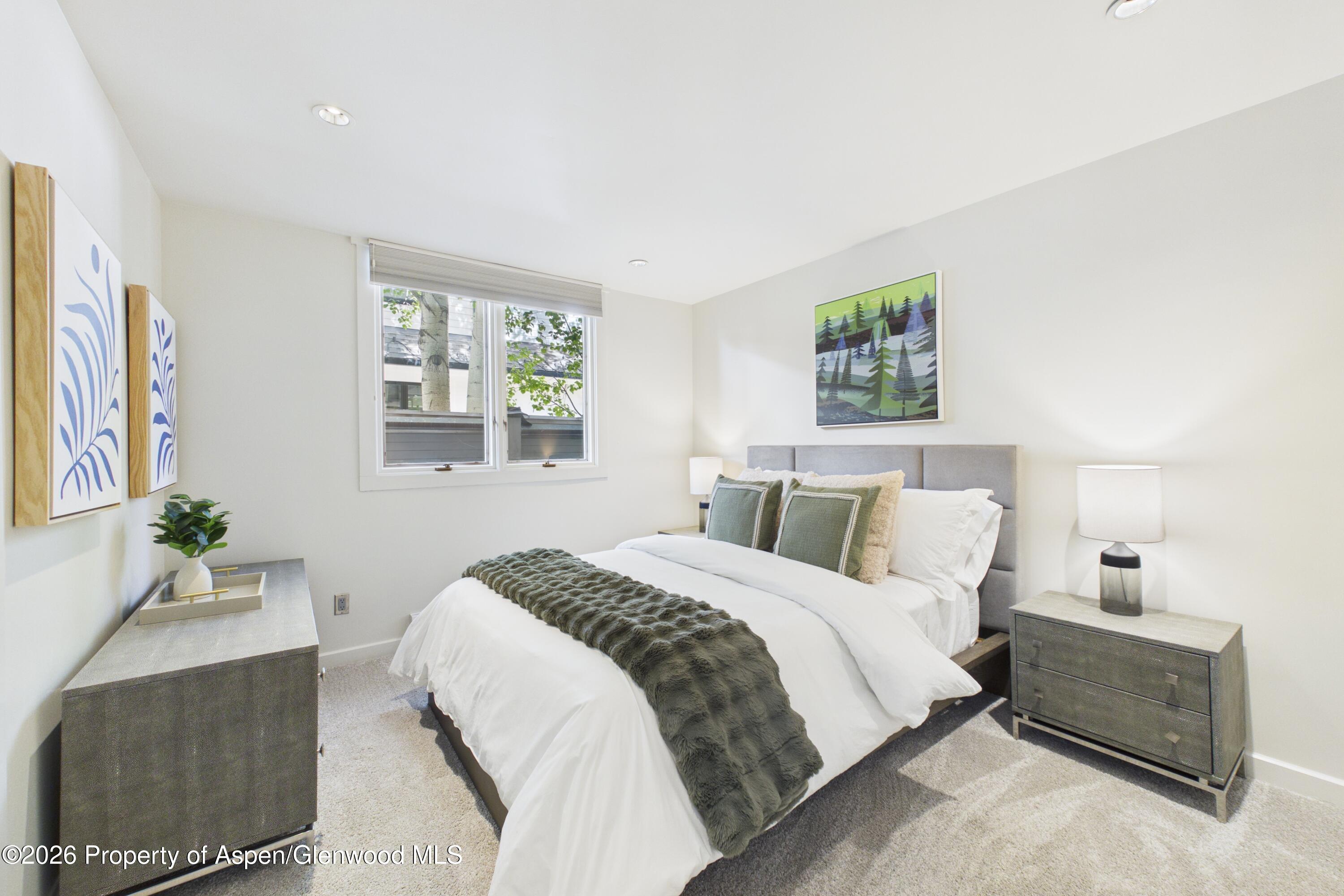 506 W Hallam Street Aspen CO 81611