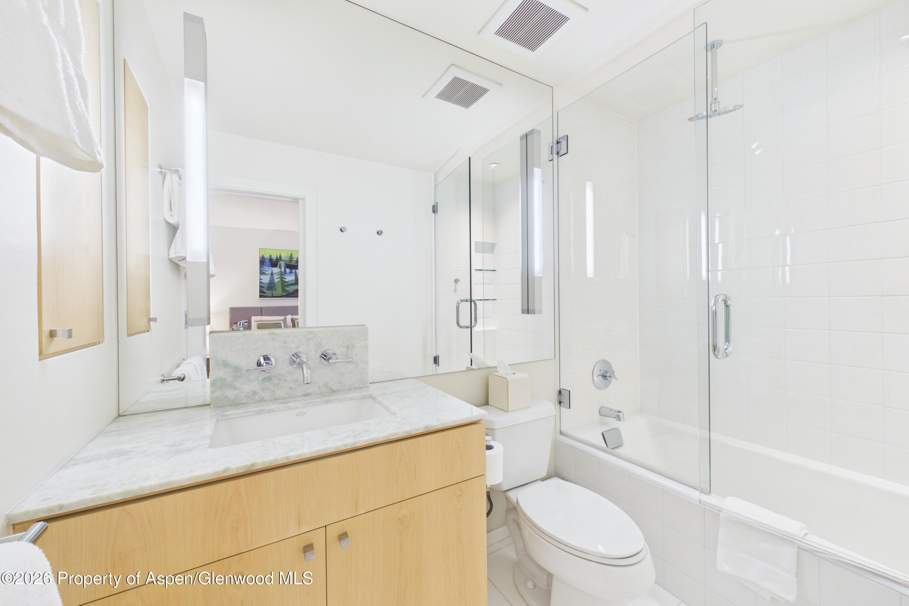 506 W Hallam Street Aspen CO 81611