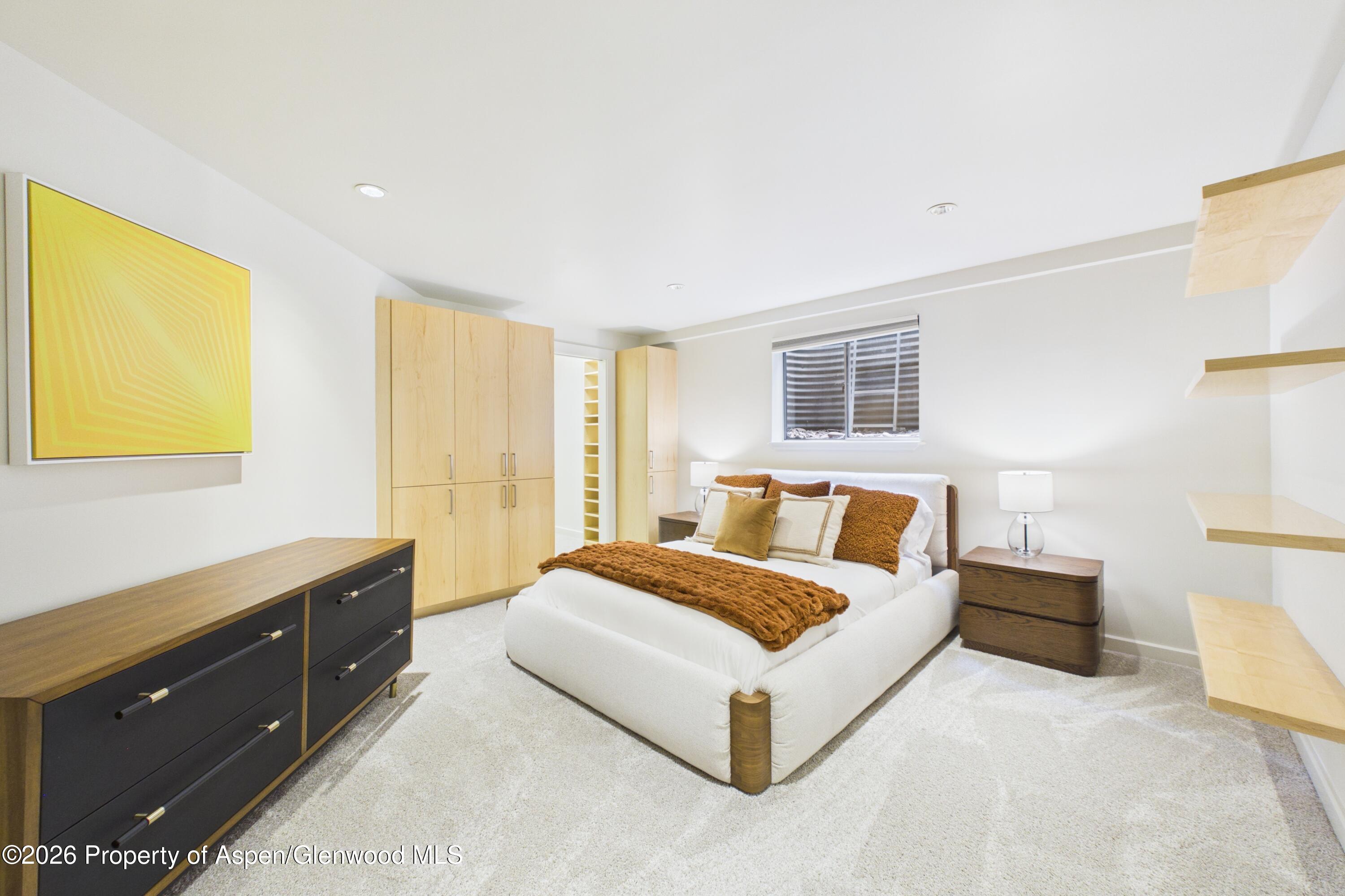 506 W Hallam Street Aspen CO 81611
