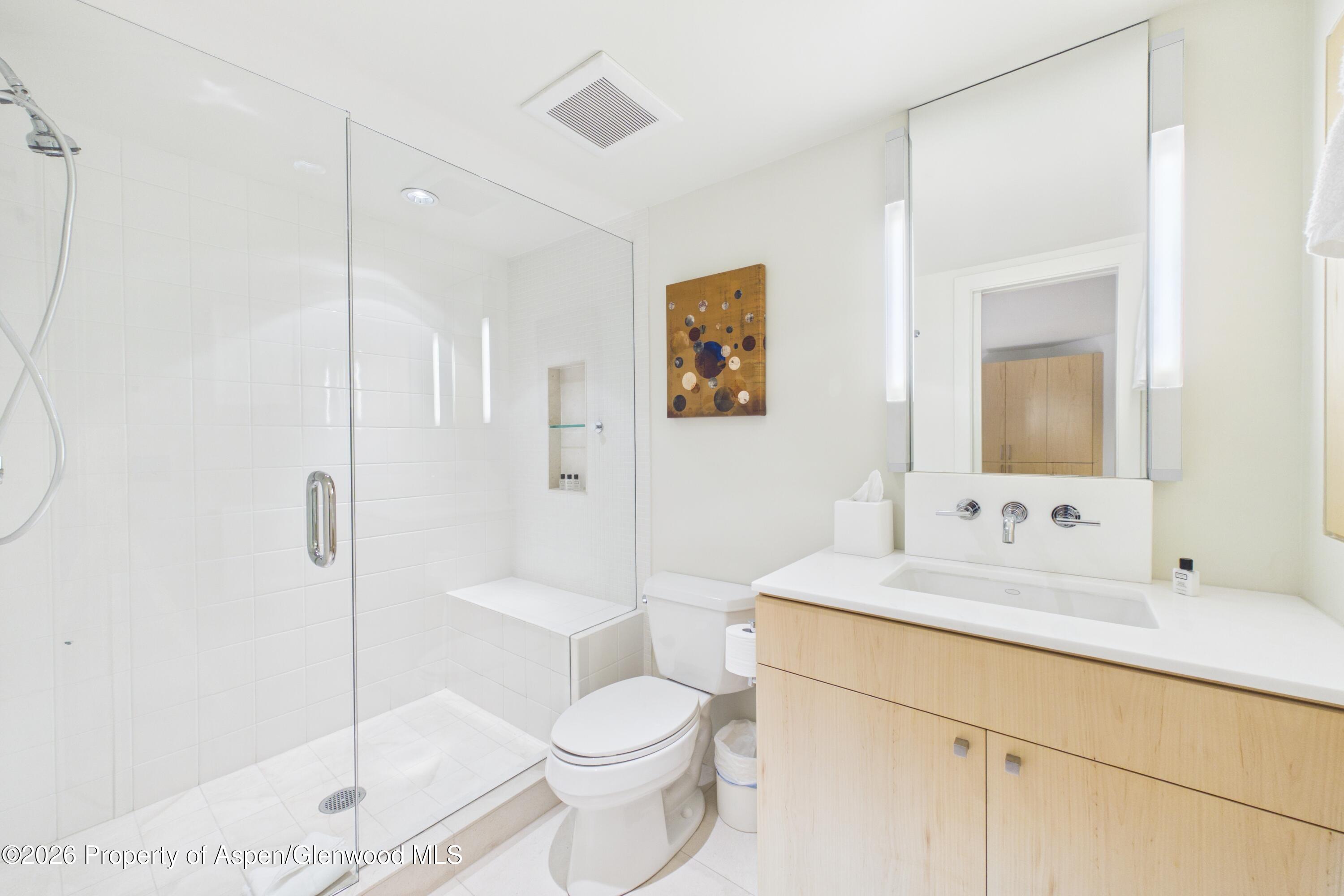 506 W Hallam Street Aspen CO 81611
