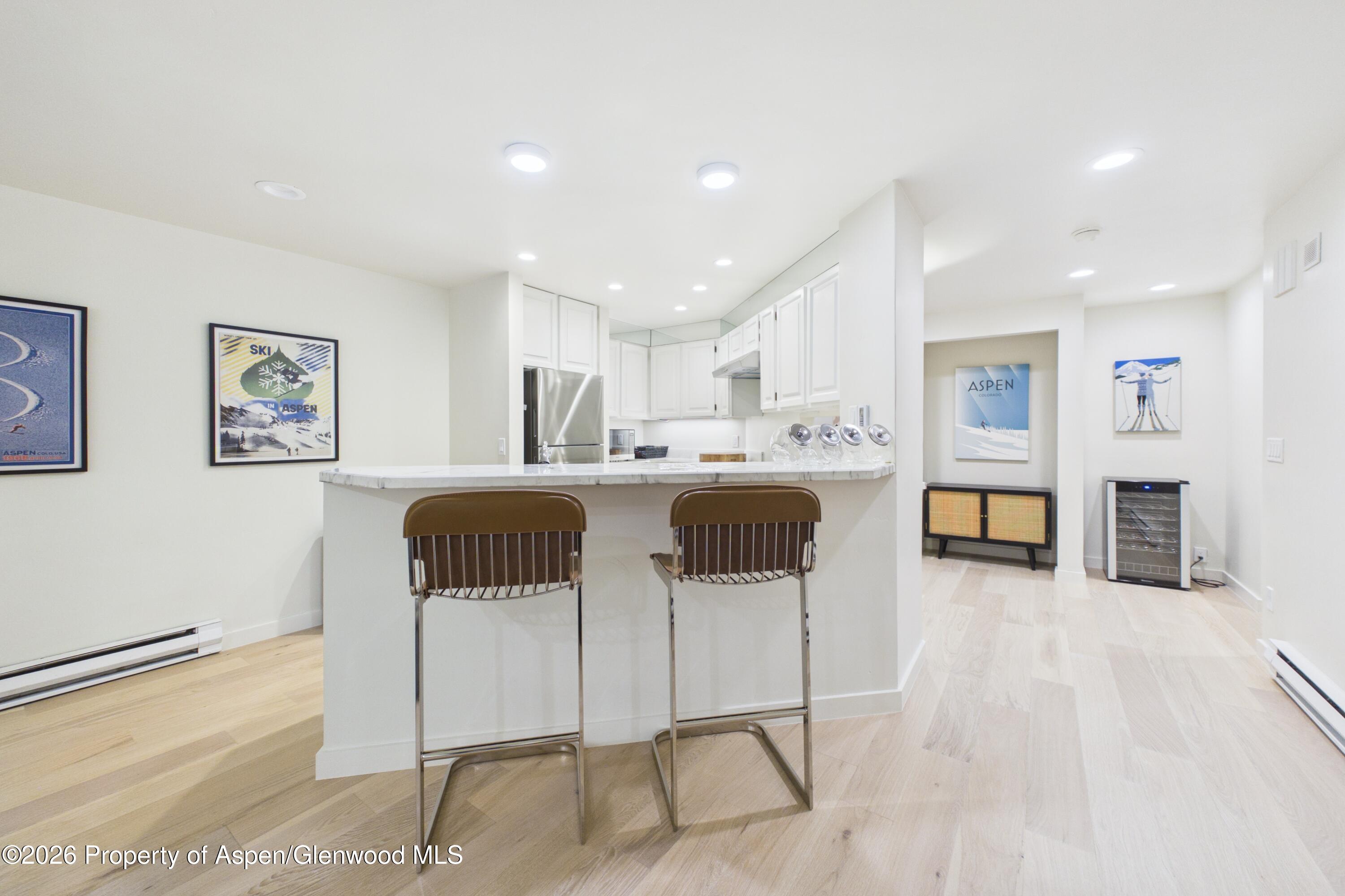 506 W Hallam Street Aspen CO 81611