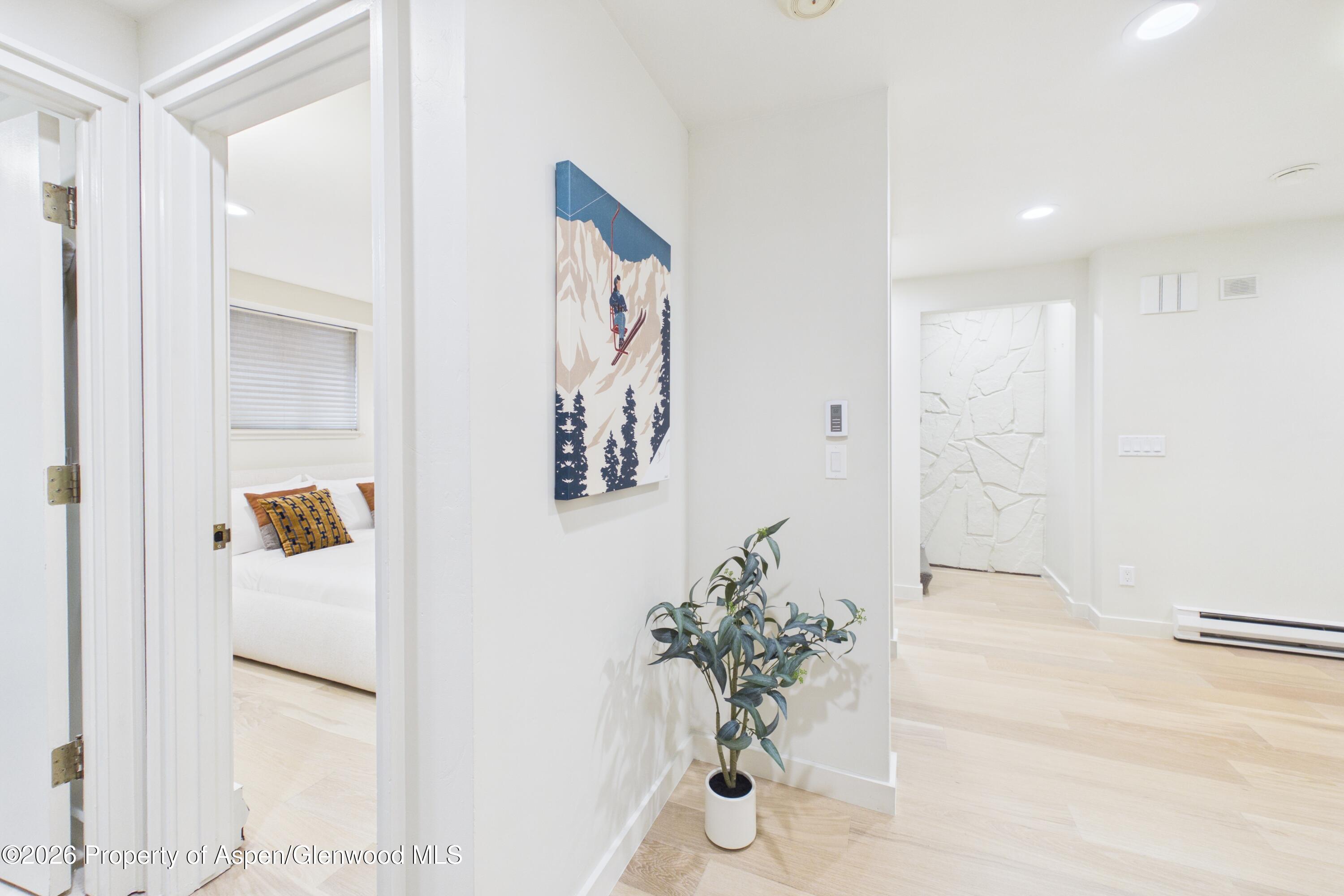 506 W Hallam Street Aspen CO 81611