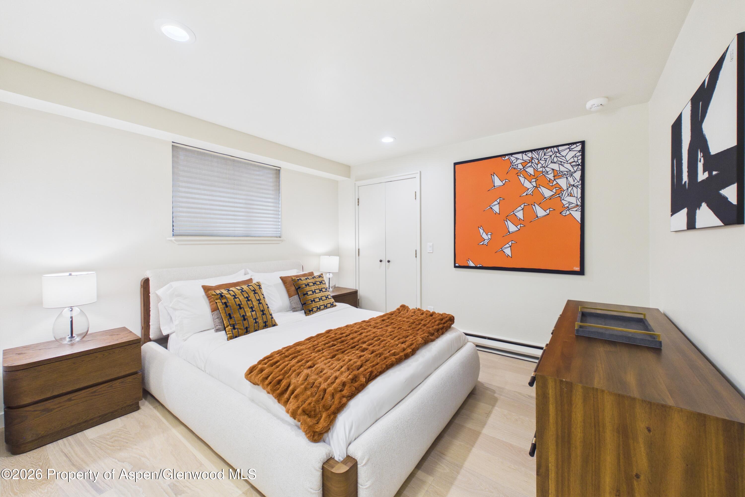506 W Hallam Street Aspen CO 81611