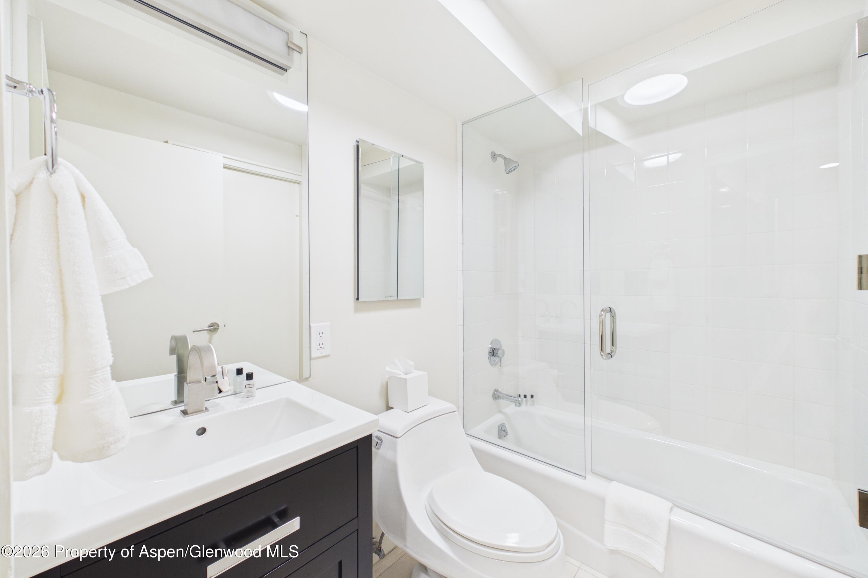 506 W Hallam Street Aspen CO 81611