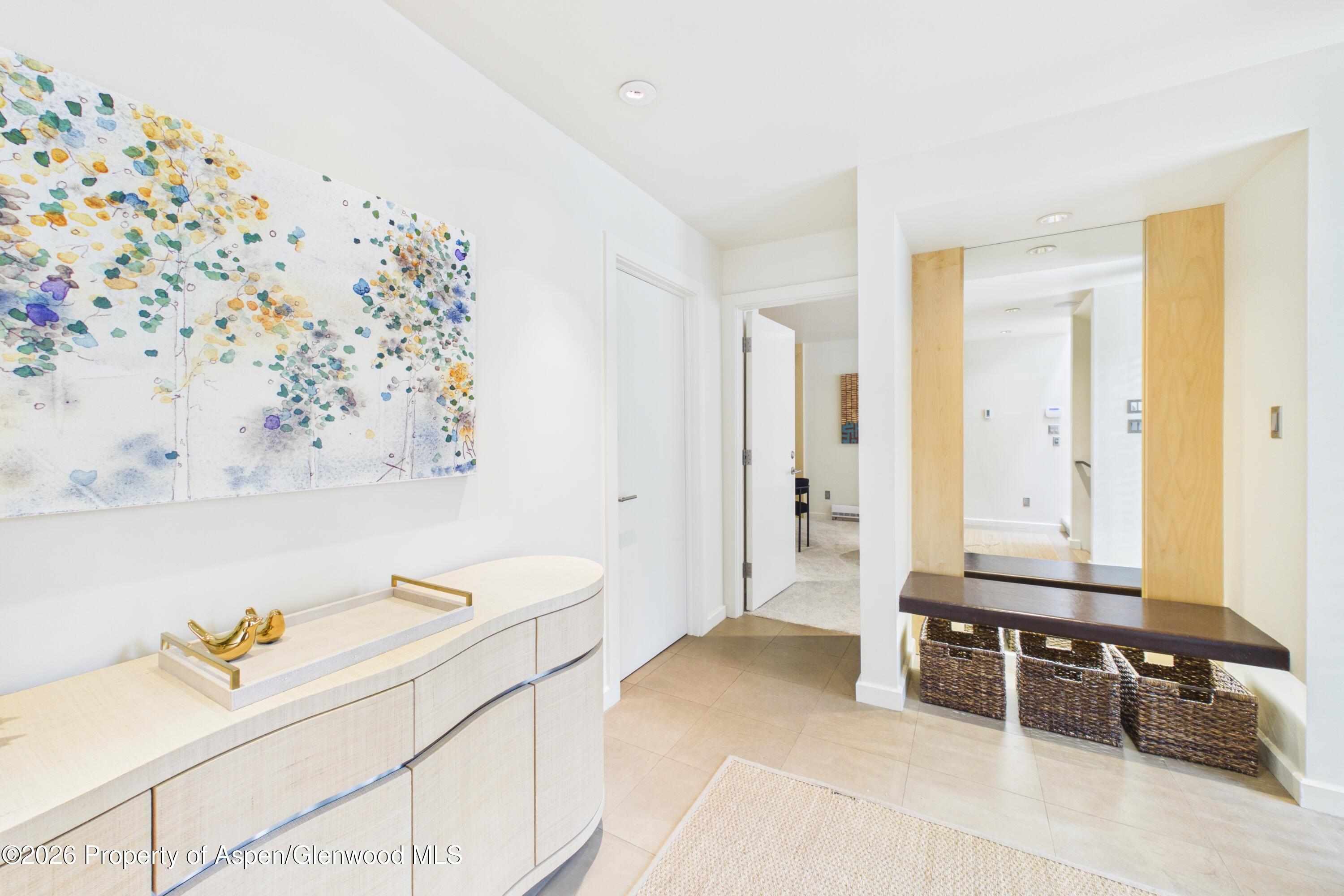 506 W Hallam Street Aspen CO 81611