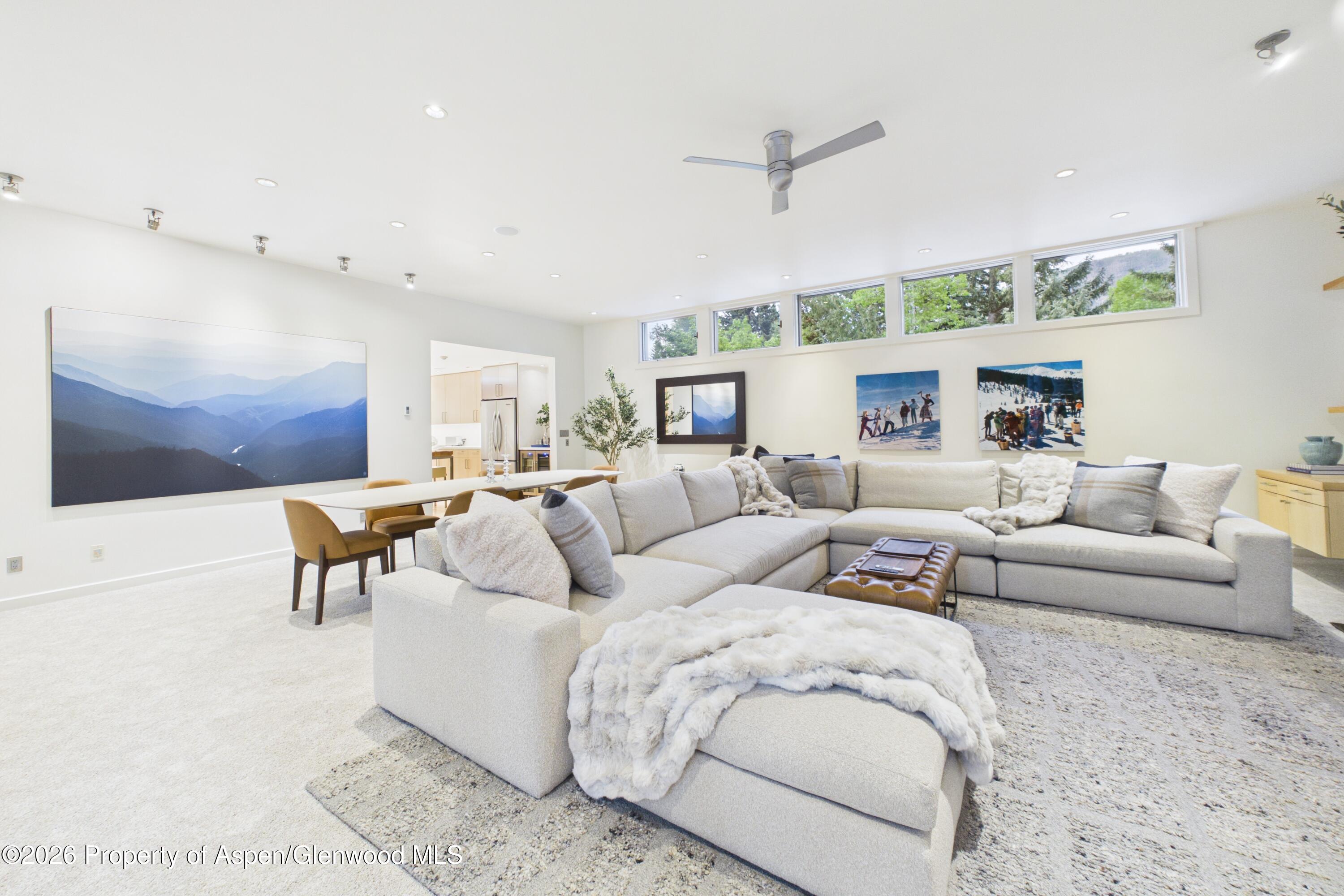 506 W Hallam Street Aspen CO 81611