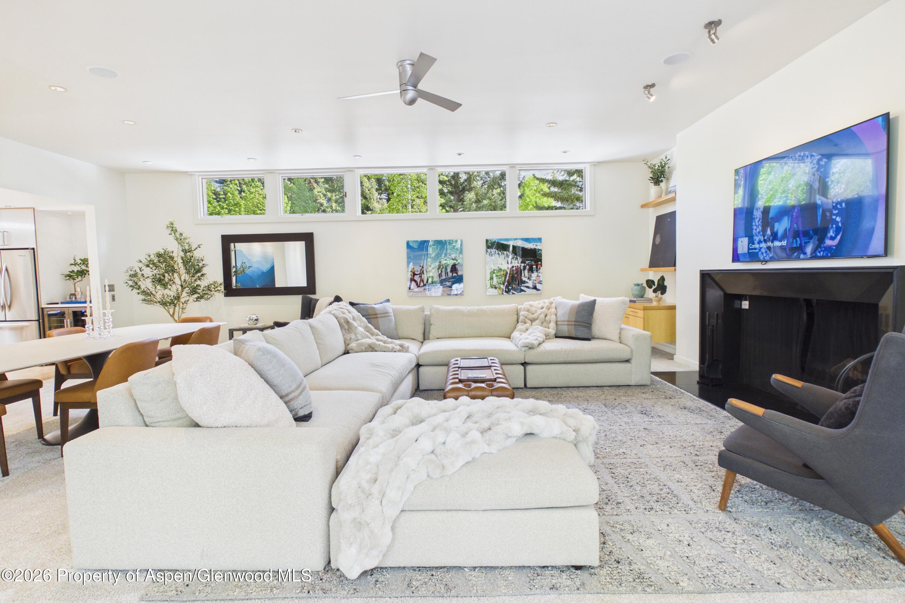506 W Hallam Street Aspen CO 81611