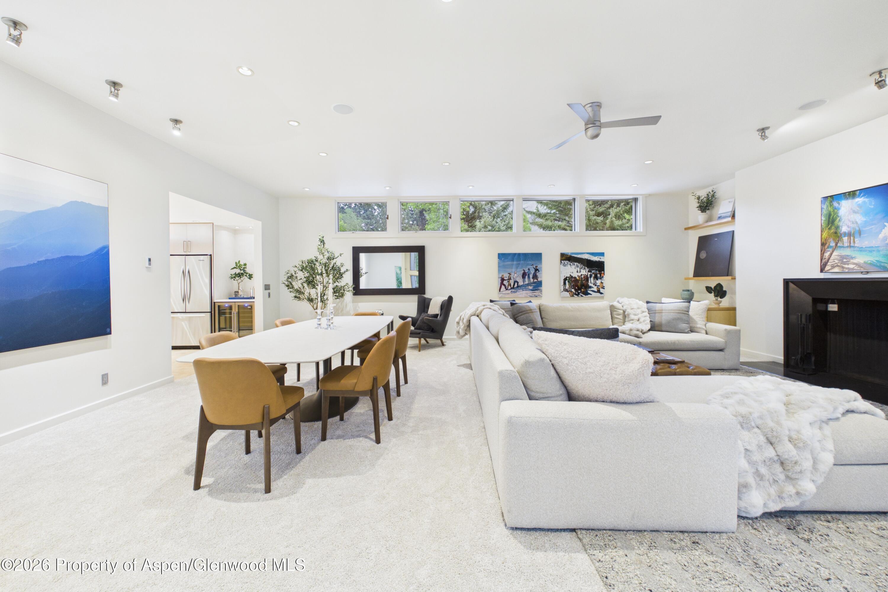 506 W Hallam Street Aspen CO 81611