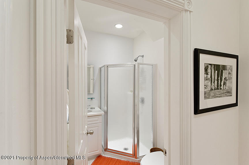 334 W Hallam Street Aspen CO 81611