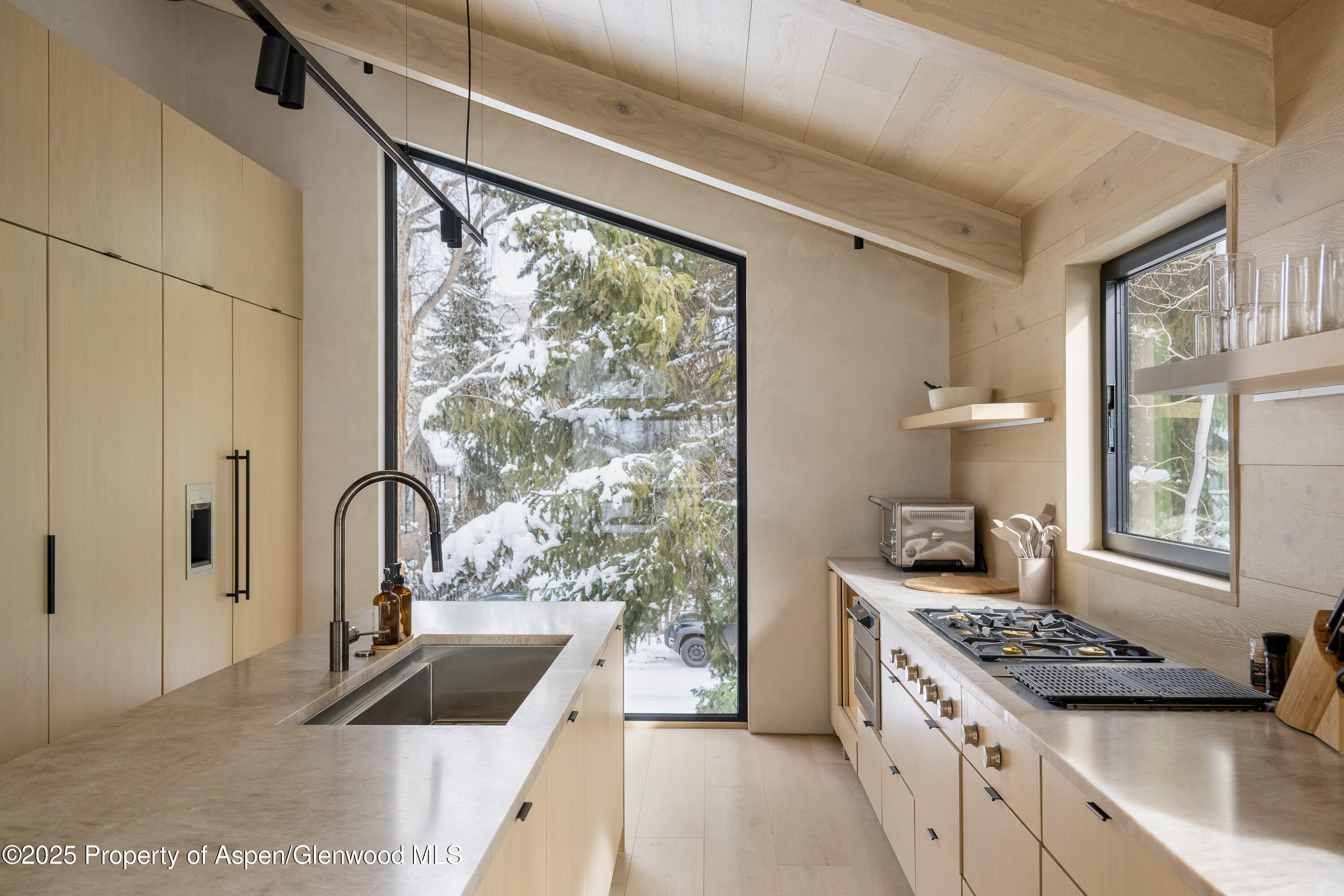 609 W Francis Street Aspen CO 81611