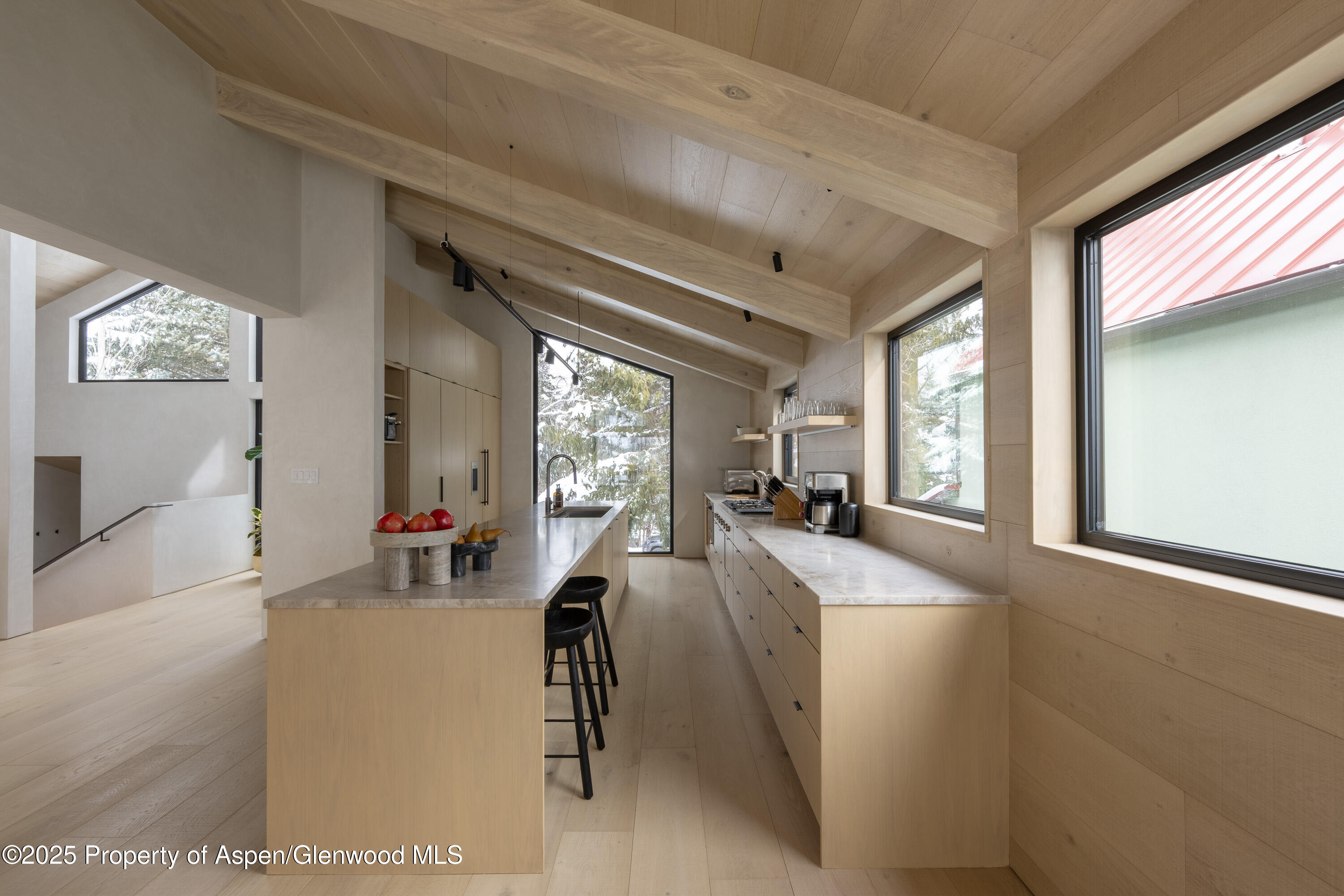 609 W Francis Street Aspen CO 81611