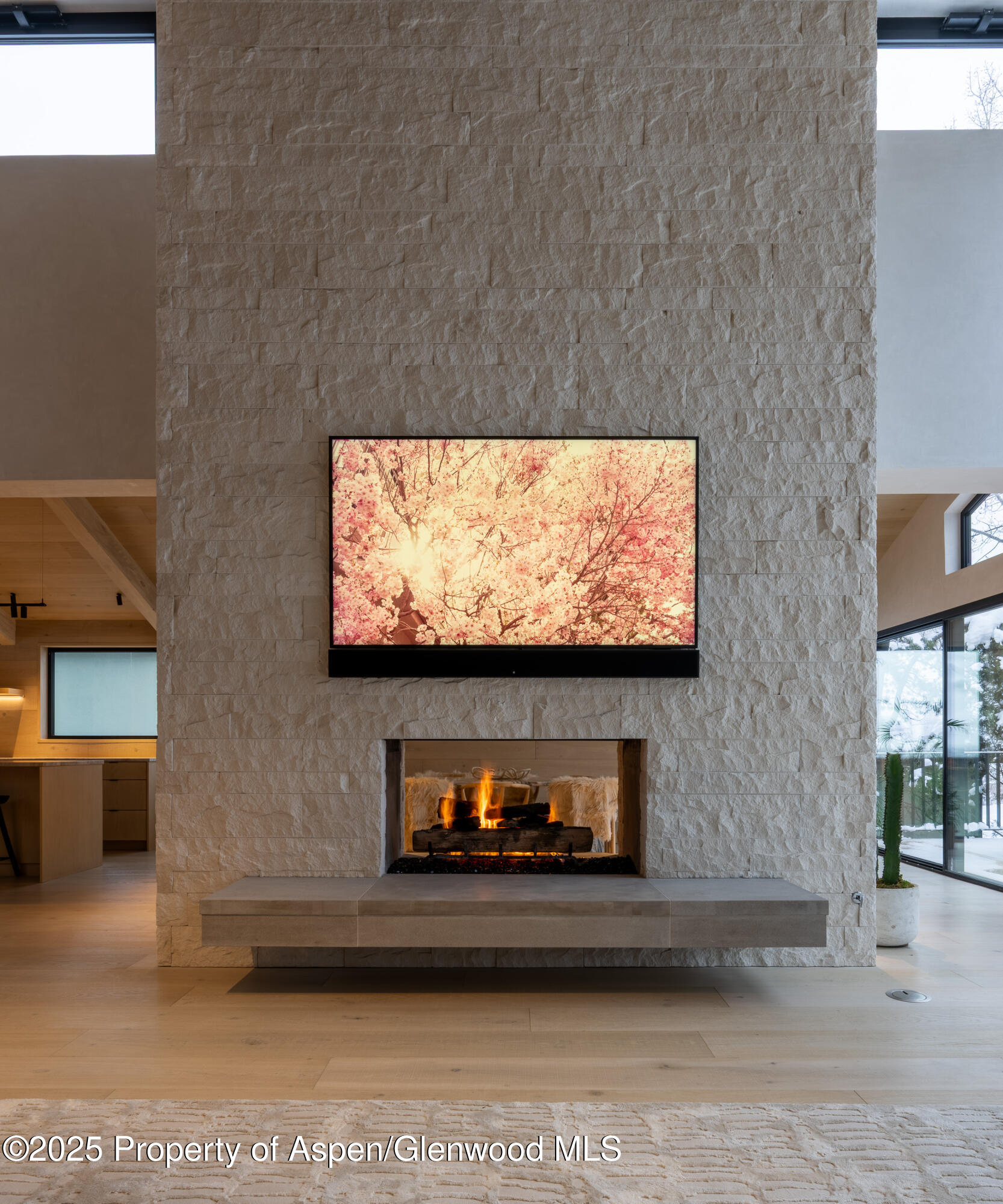 609 W Francis Street Aspen CO 81611