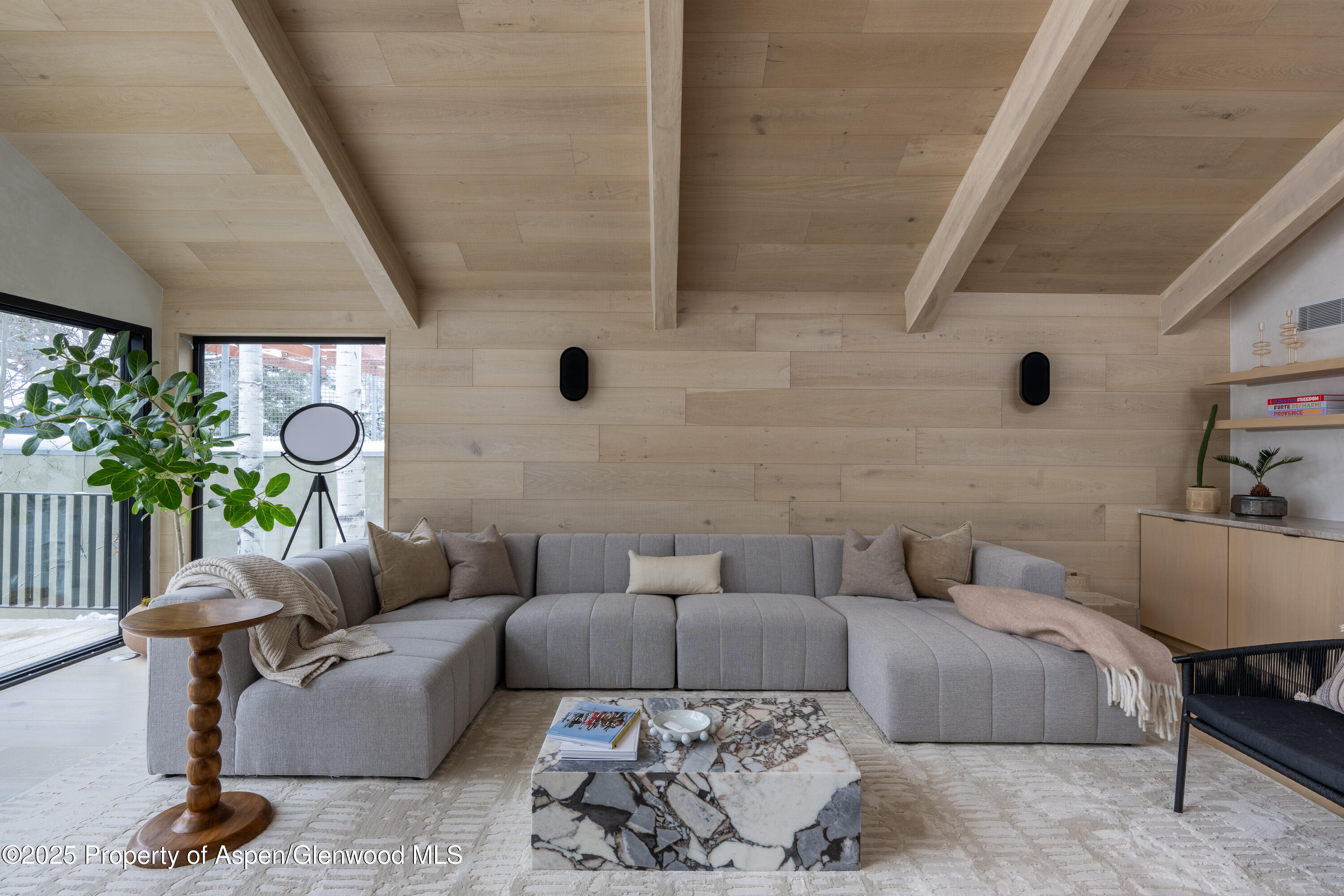 609 W Francis Street Aspen CO 81611