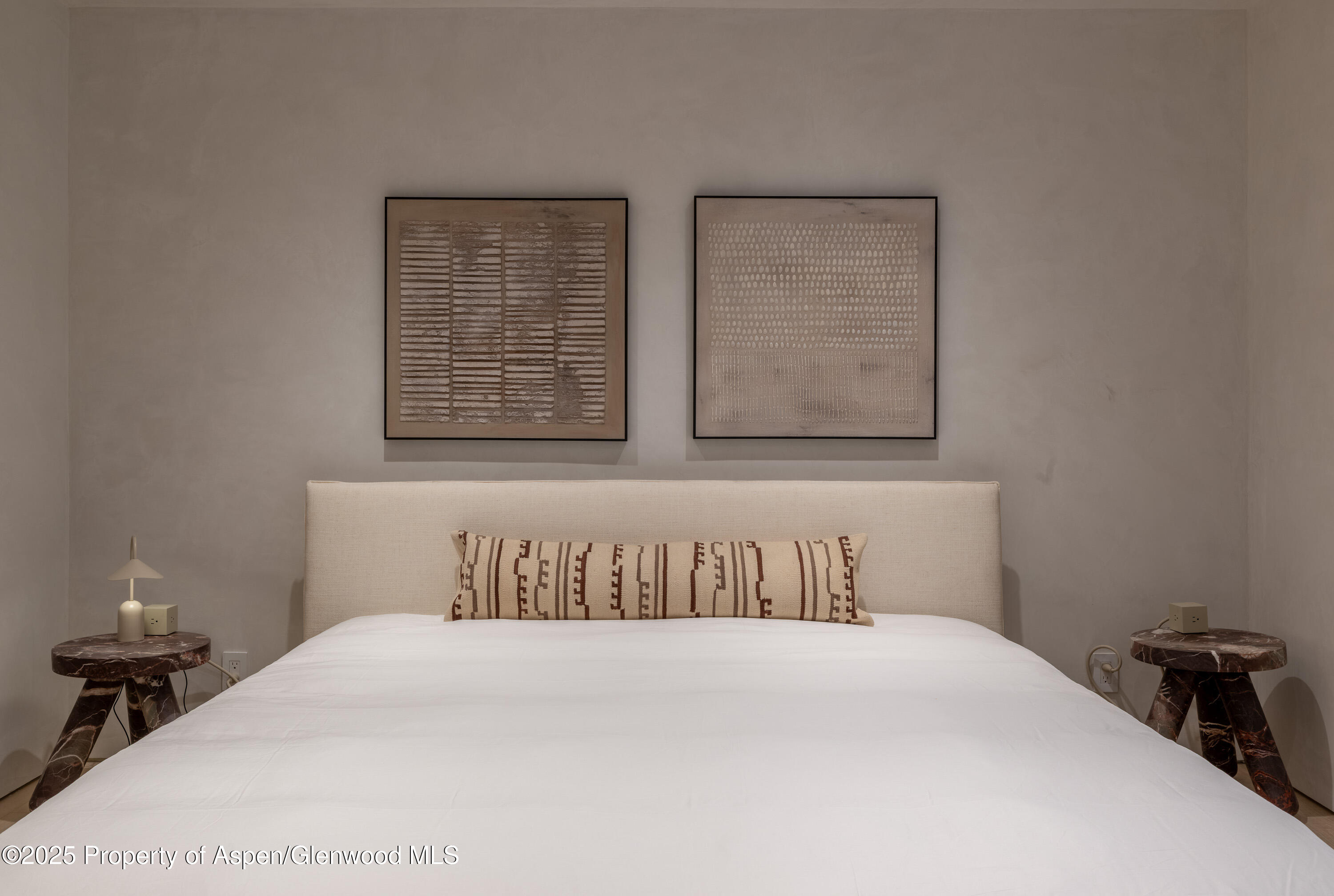 609 W Francis Street Aspen CO 81611