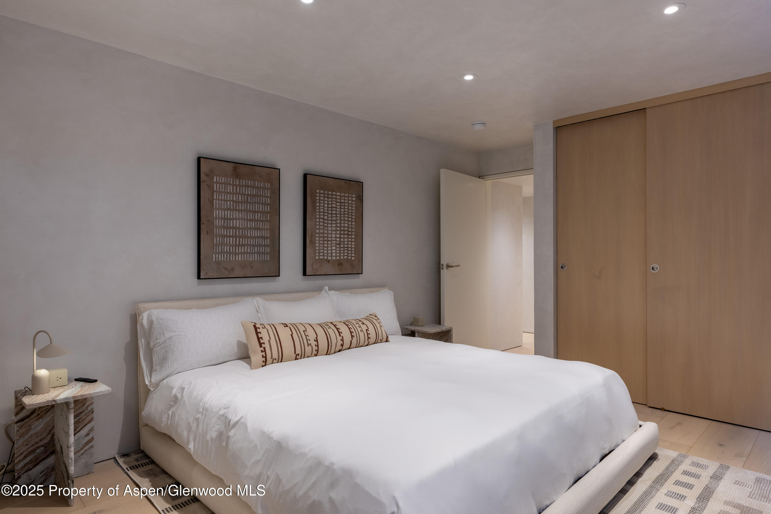 609 W Francis Street Aspen CO 81611