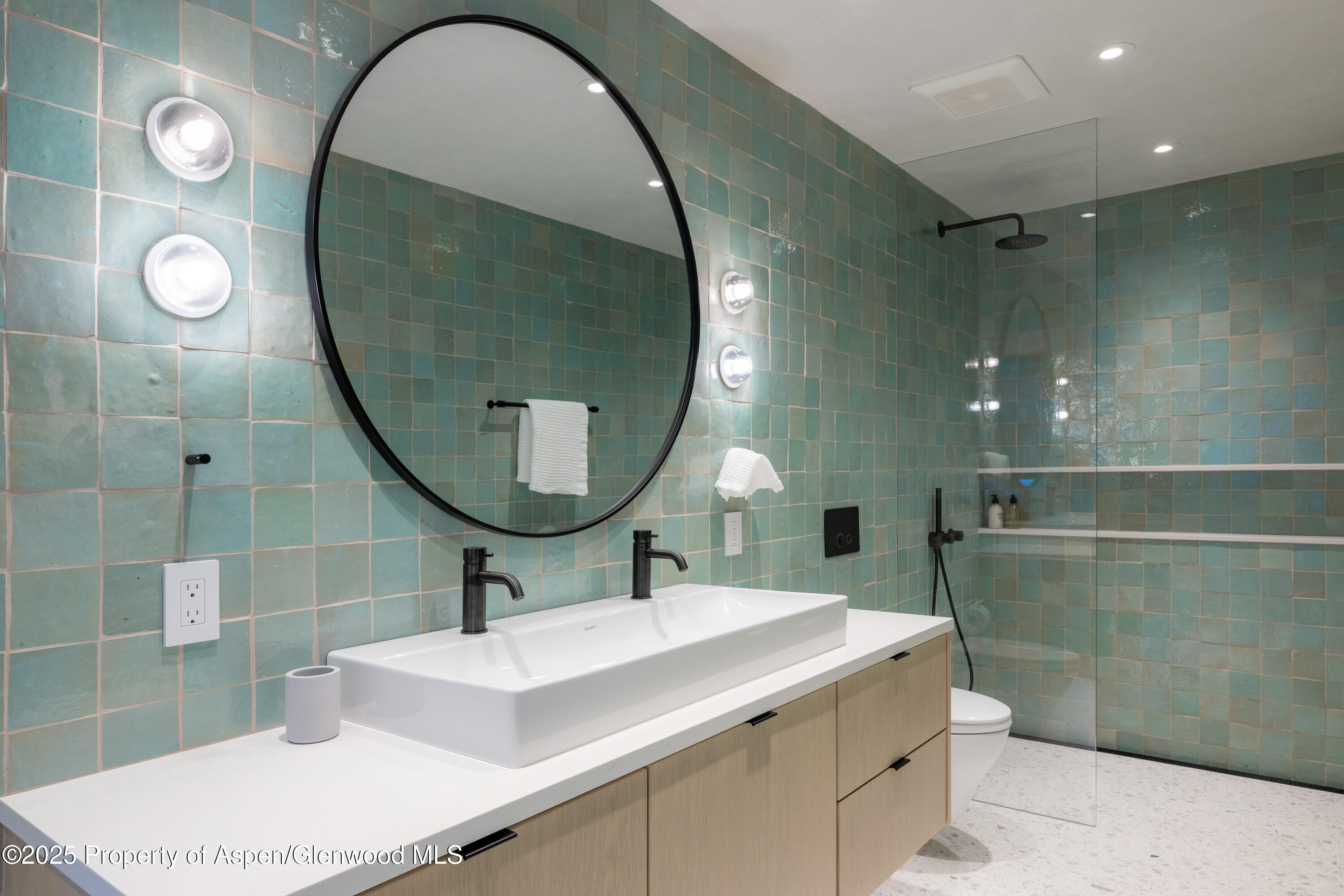 609 W Francis Street Aspen CO 81611