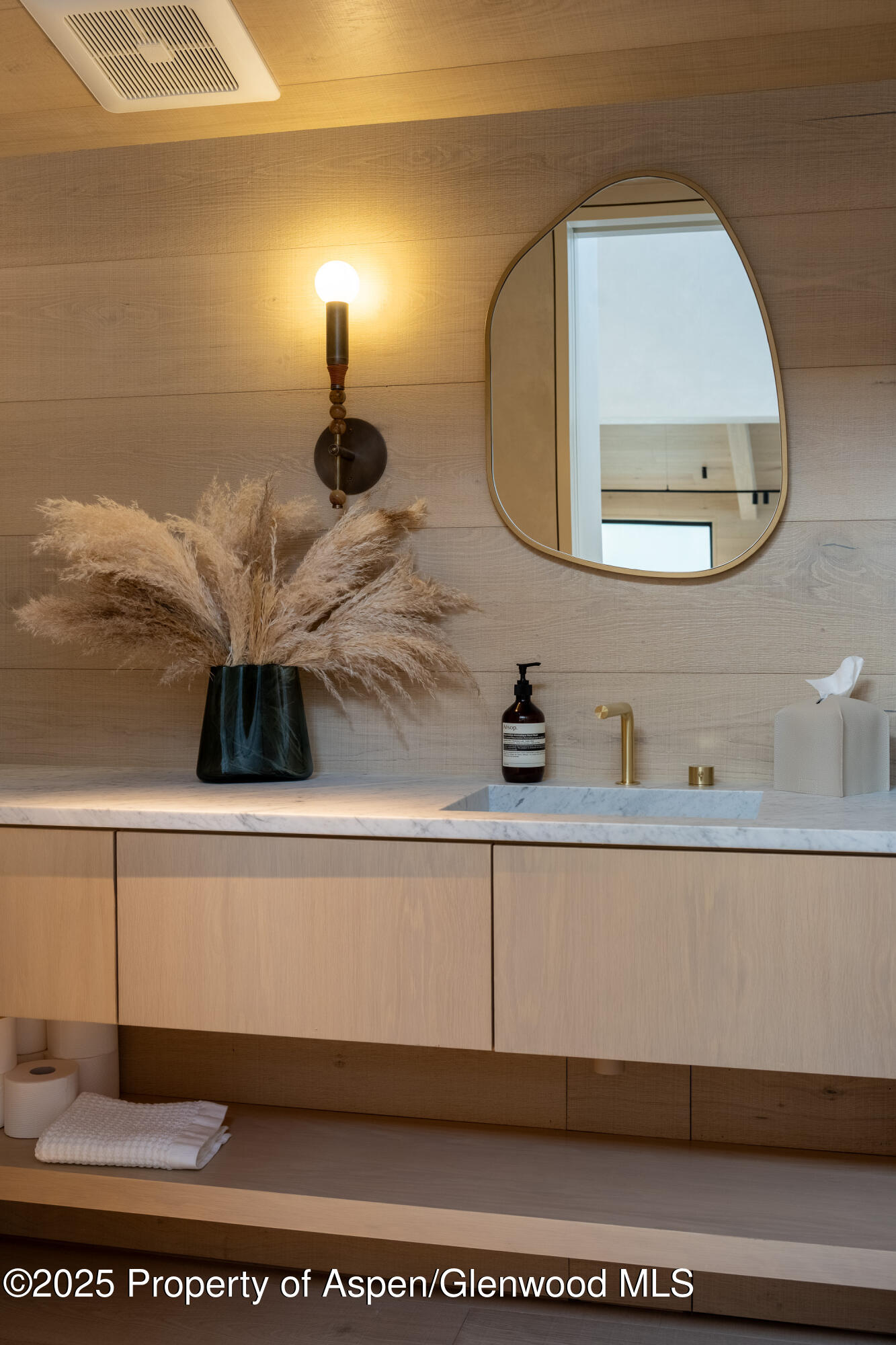 609 W Francis Street Aspen CO 81611