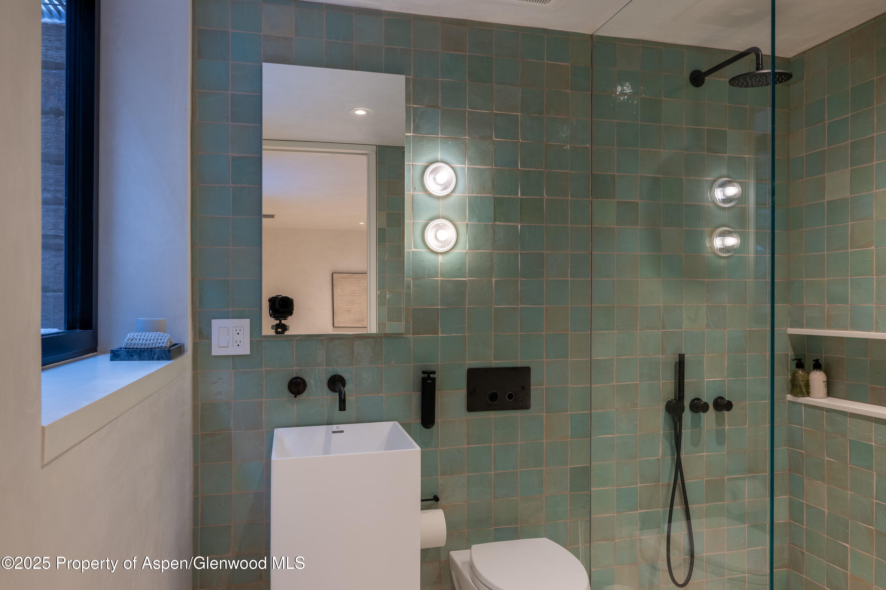 609 W Francis Street Aspen CO 81611