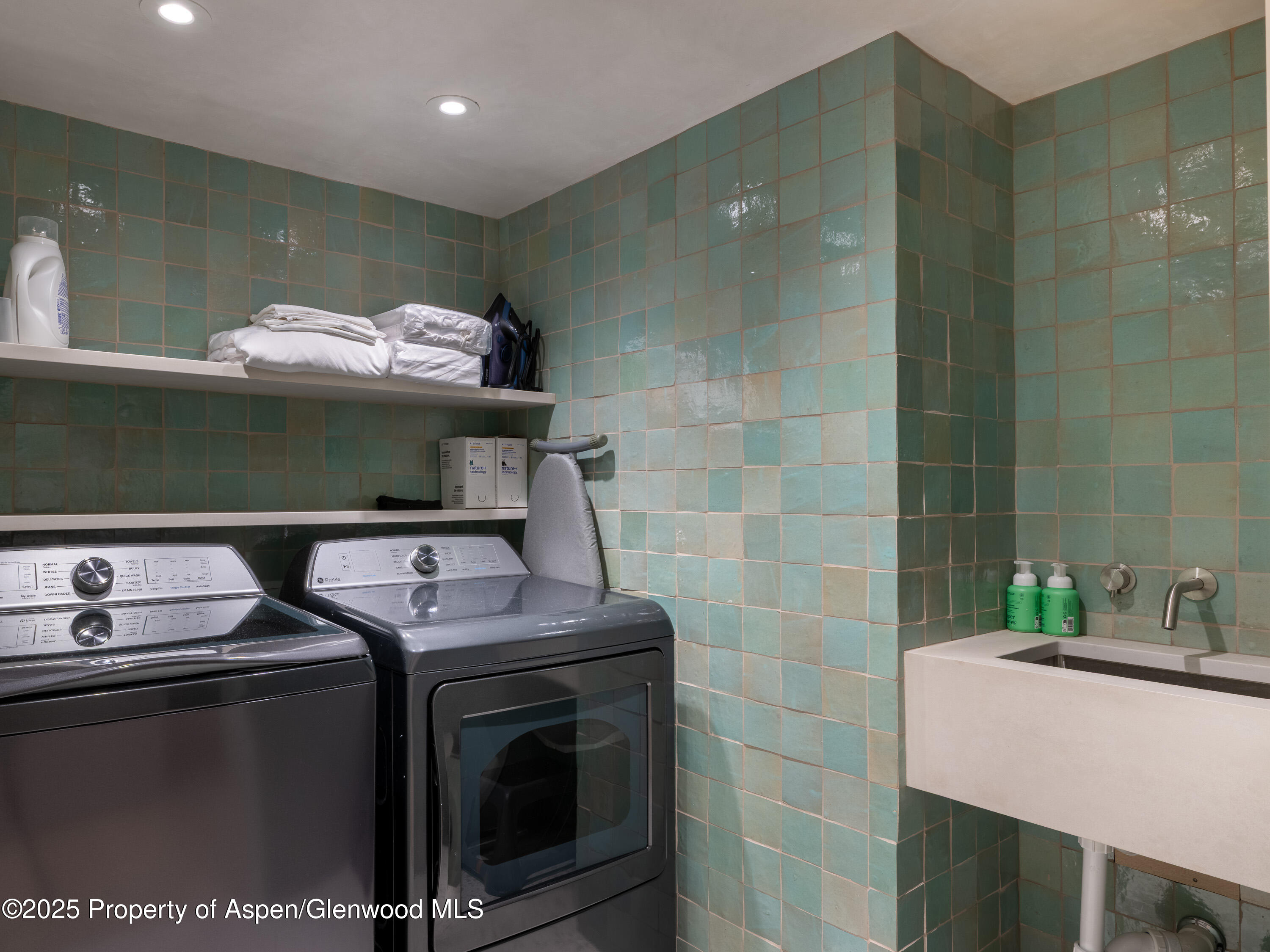 609 W Francis Street Aspen CO 81611