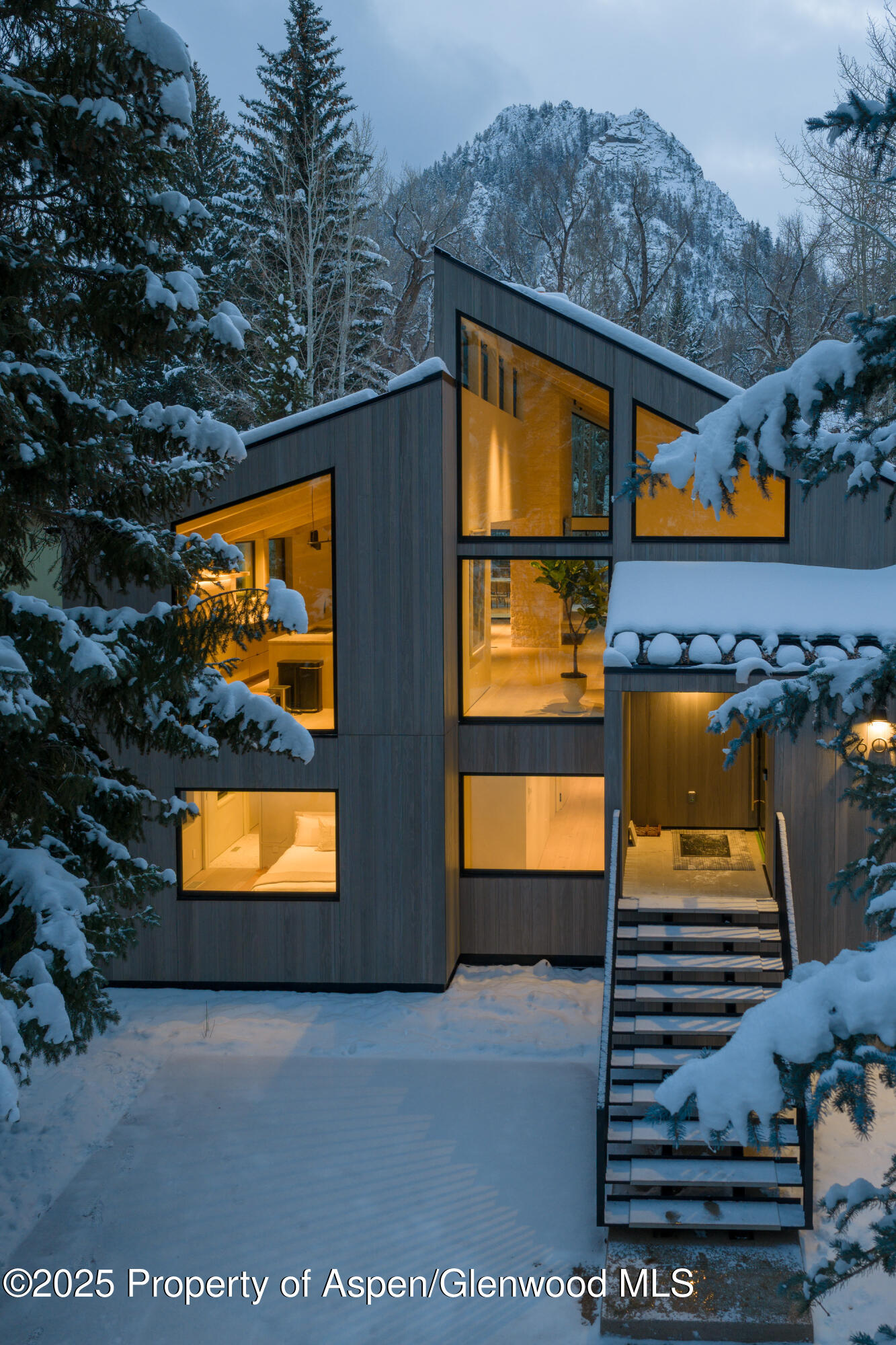 609 W Francis Street Aspen CO 81611