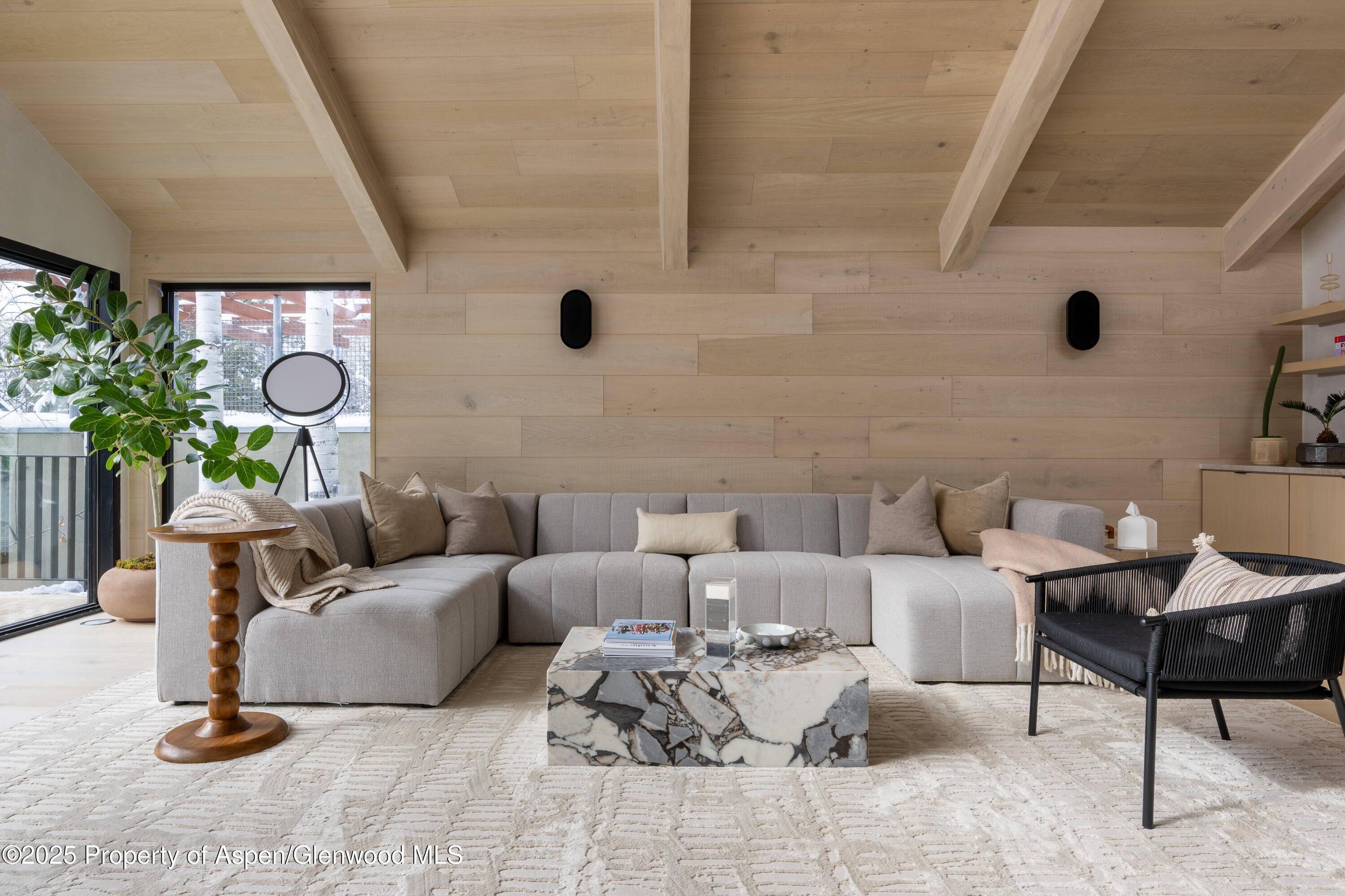 609 W Francis Street Aspen CO 81611