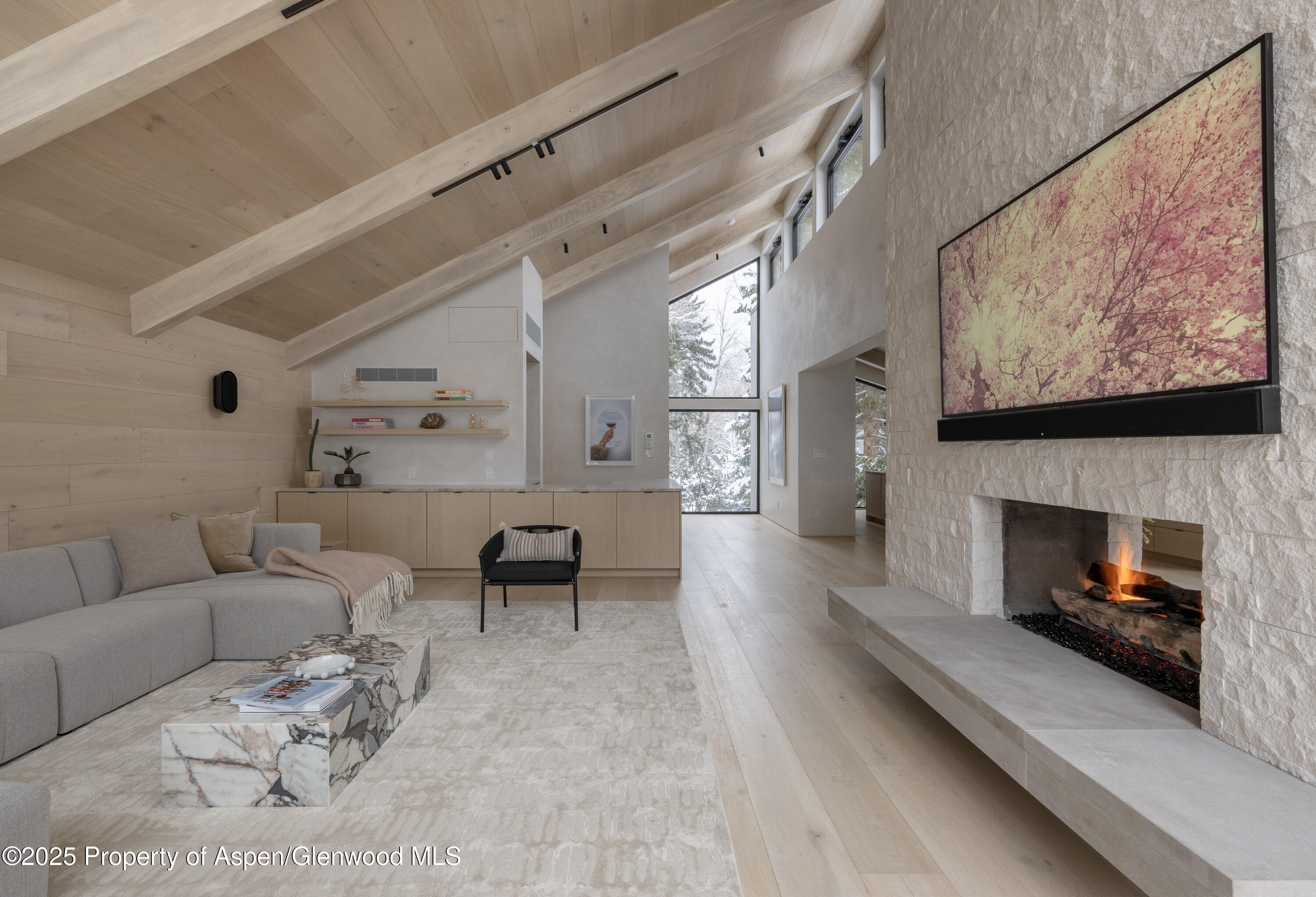 609 W Francis Street Aspen CO 81611