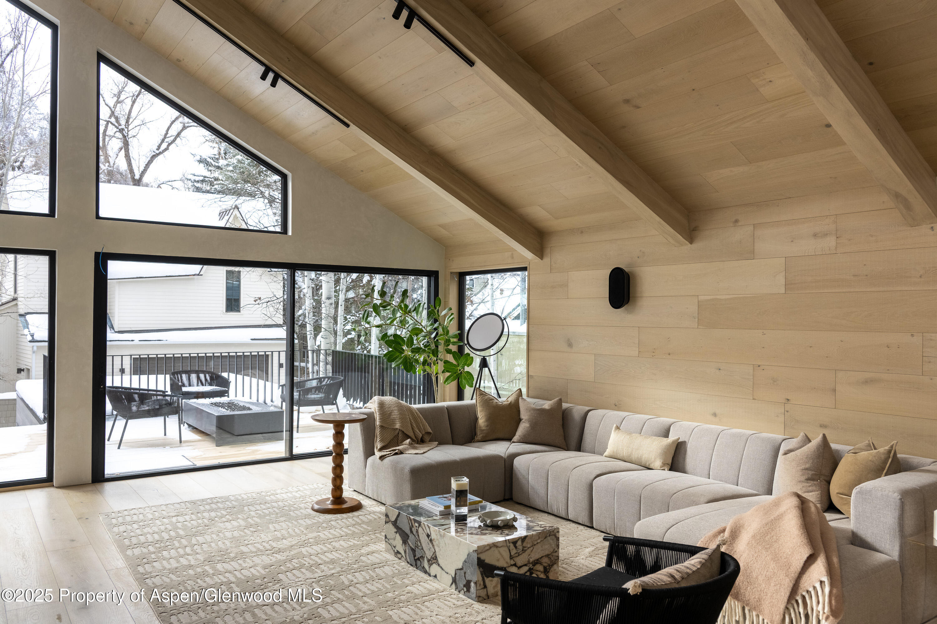 609 W Francis Street Aspen CO 81611
