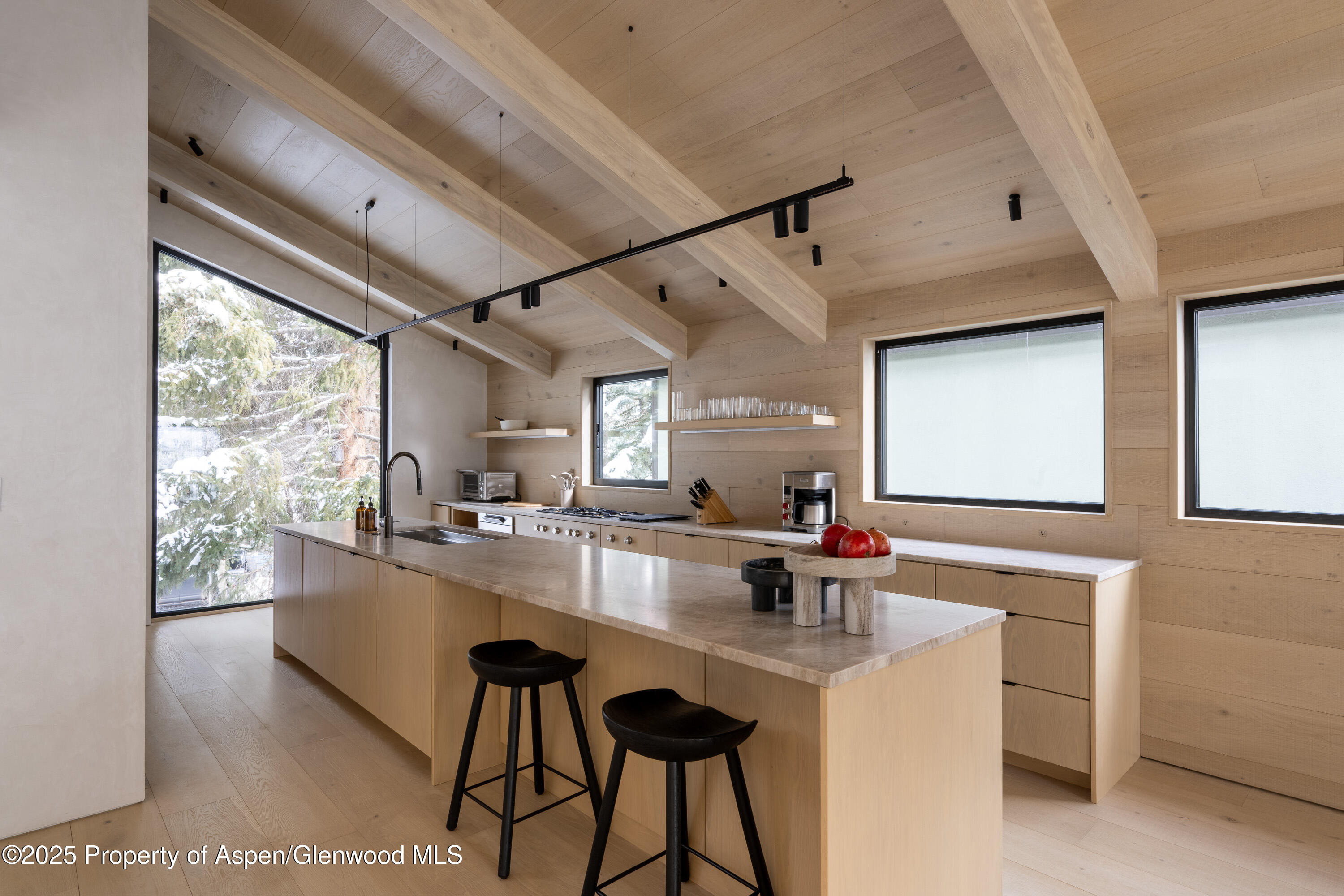 609 W Francis Street Aspen CO 81611