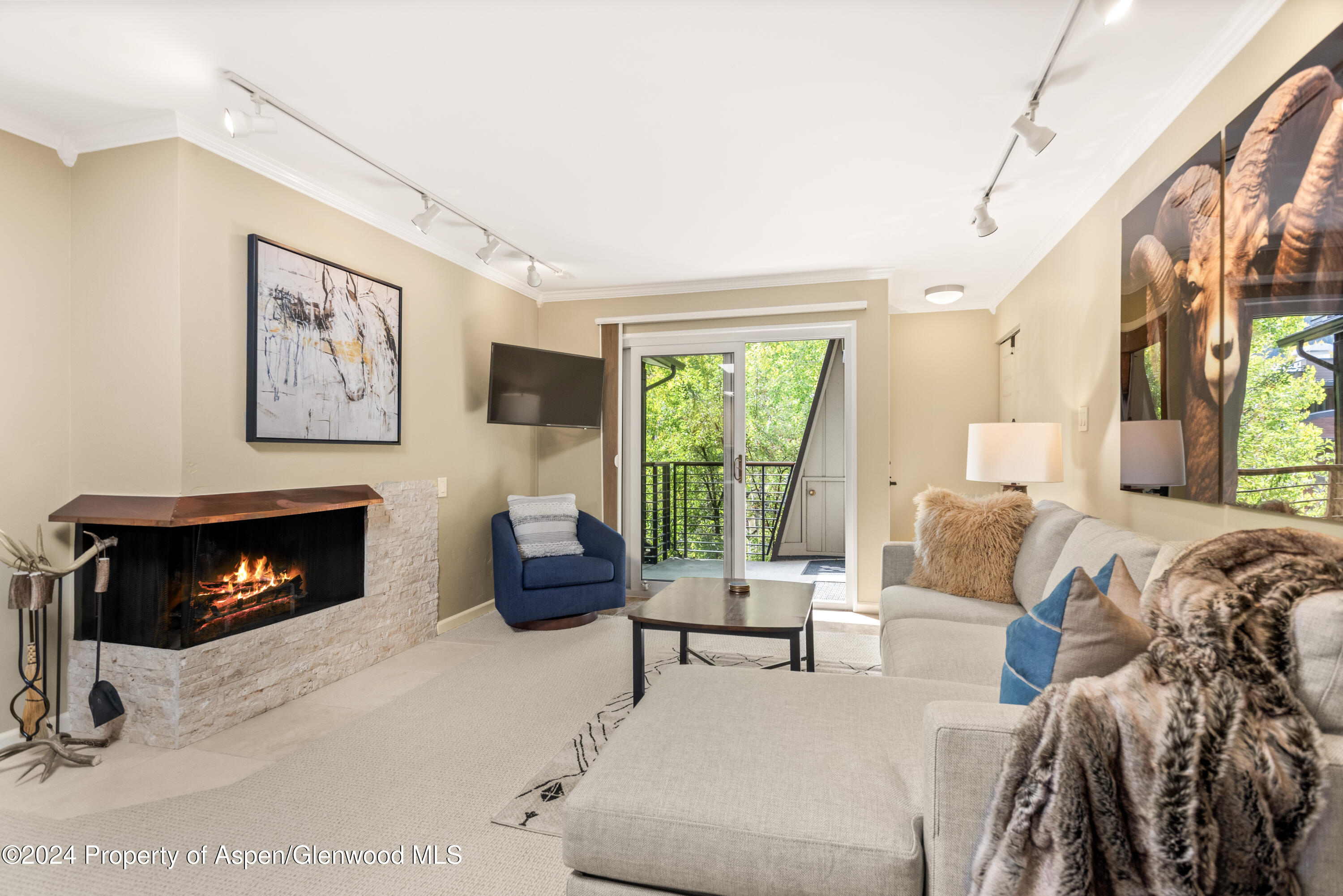 210 E Cooper Avenue Aspen CO 81611