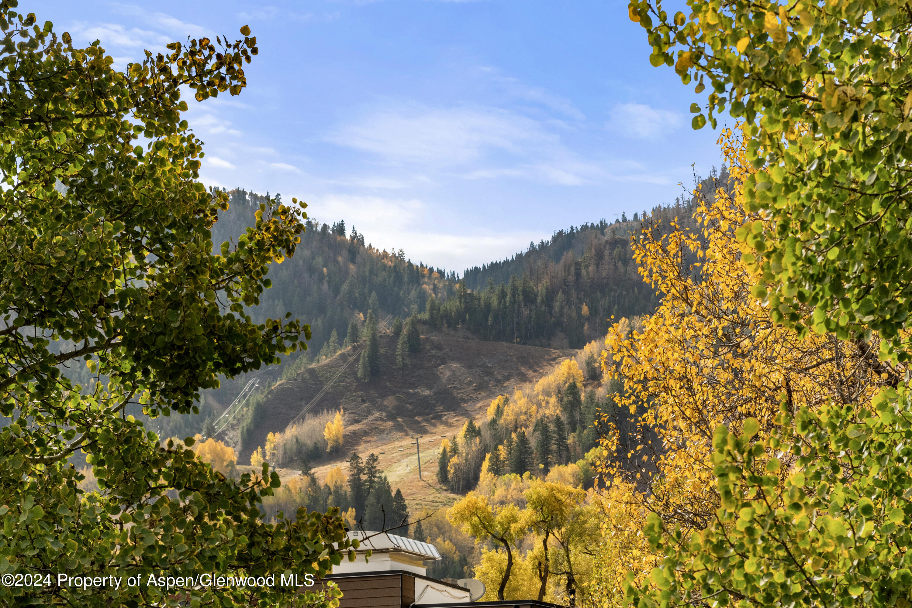 210 E Cooper Avenue Aspen CO 81611