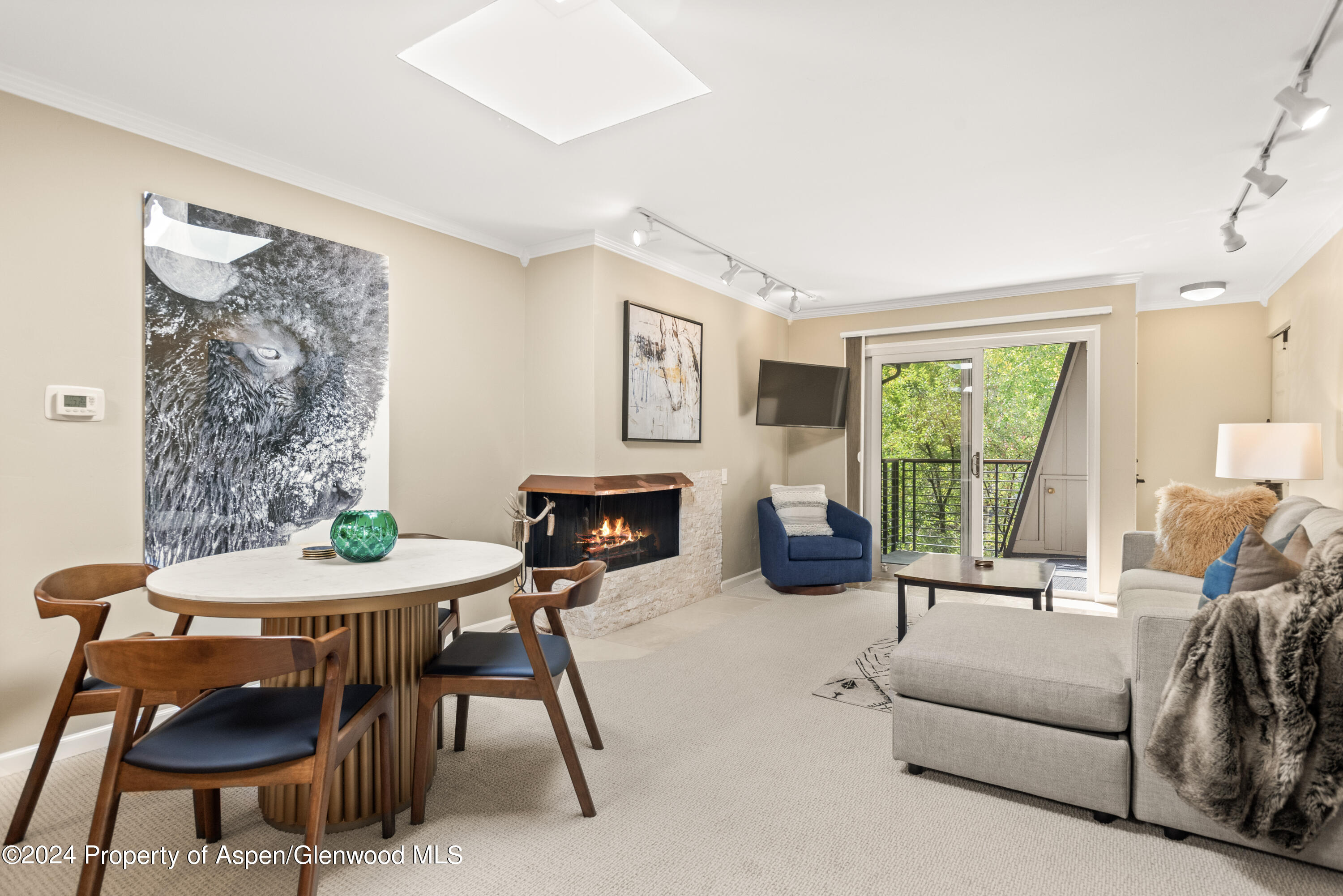 210 E Cooper Avenue Aspen CO 81611
