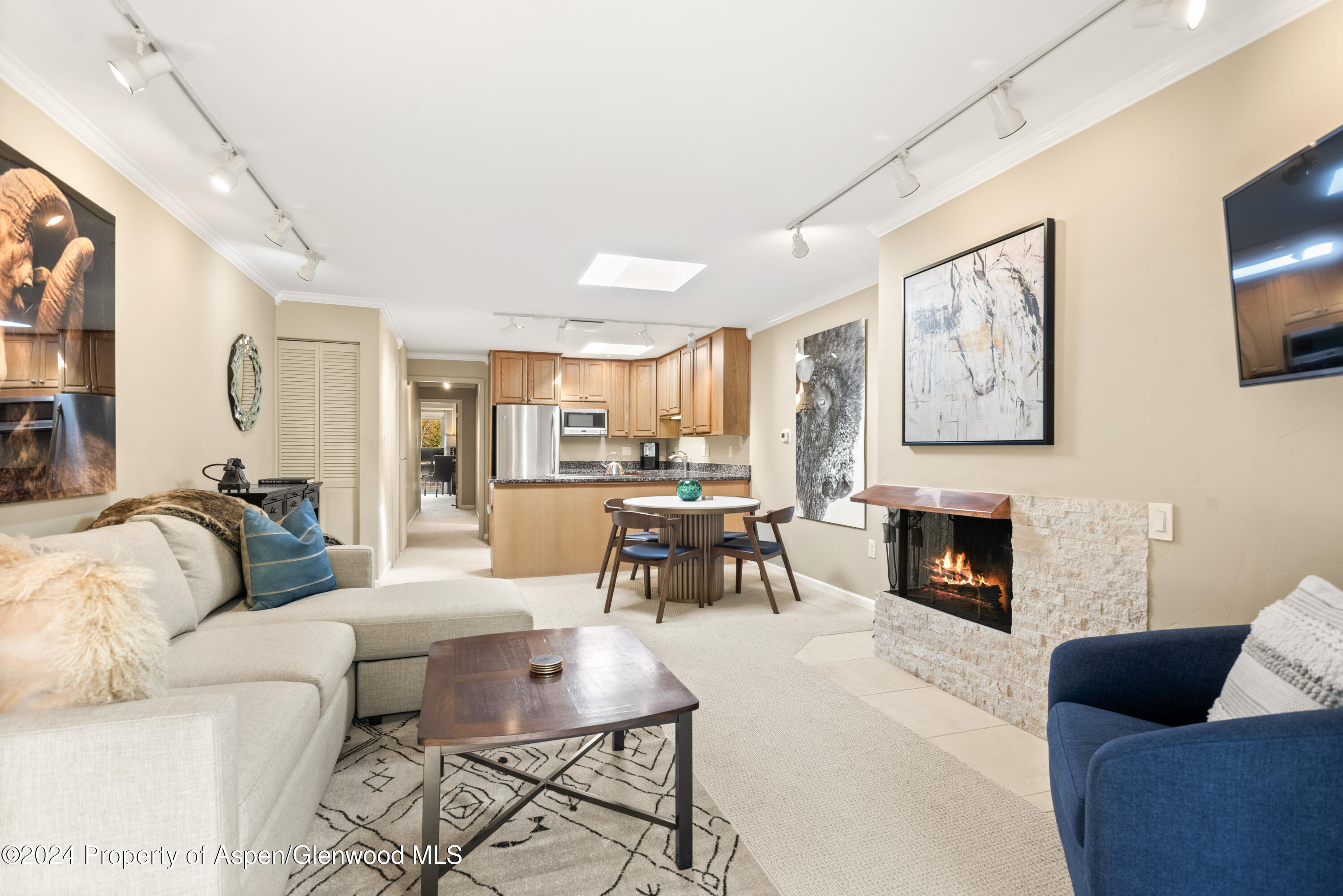 210 E Cooper Avenue Aspen CO 81611