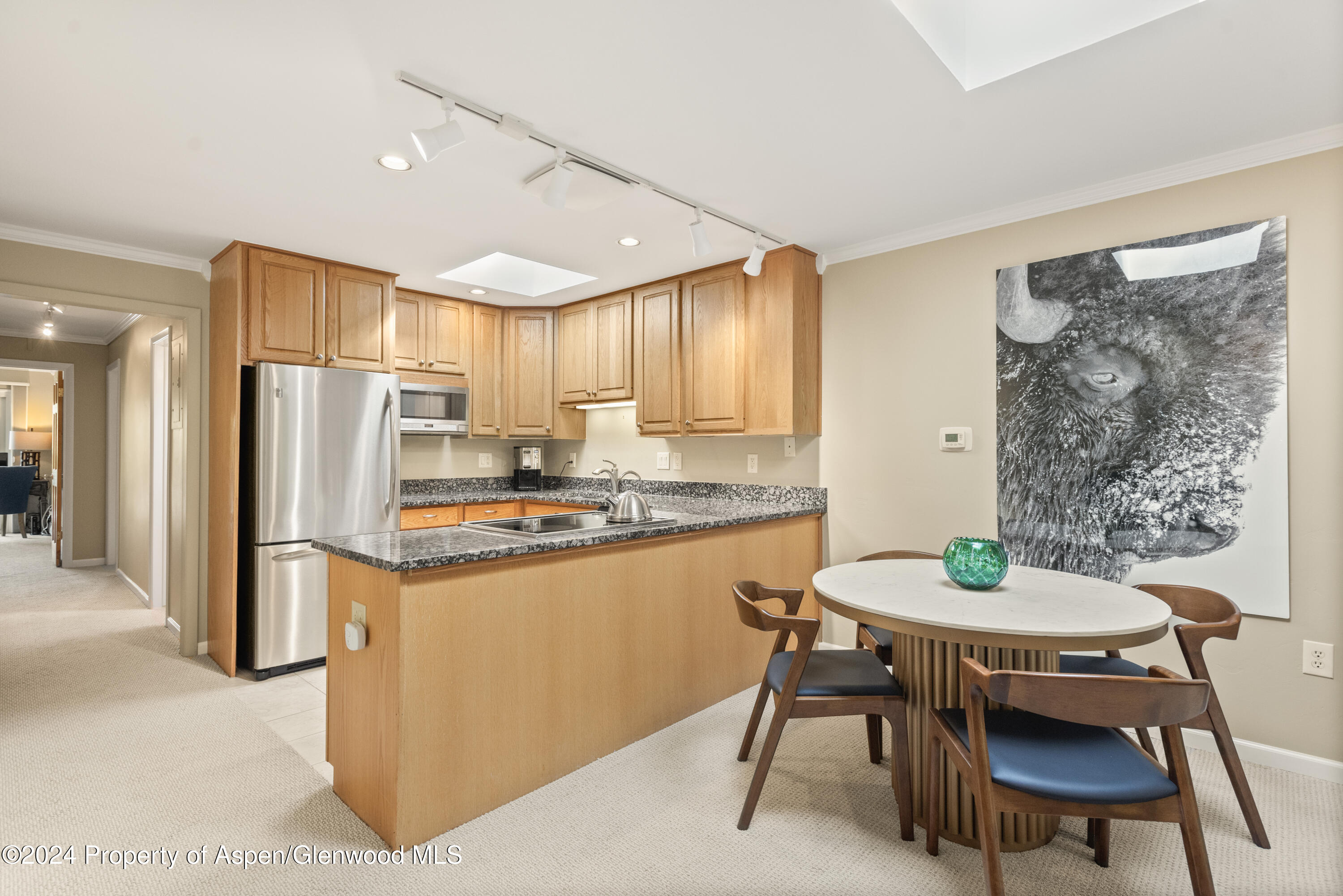210 E Cooper Avenue Aspen CO 81611